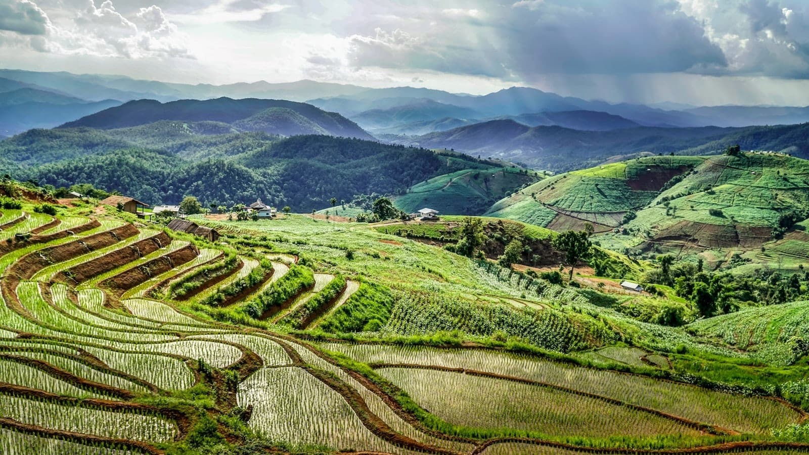 Üppig grüne Reisterrassen ziehen sich in Kurven die Hügel hinauf, mit weitem Bergpanorama unter dramatisch bewölktem Himmel im Mae Rim Valley.