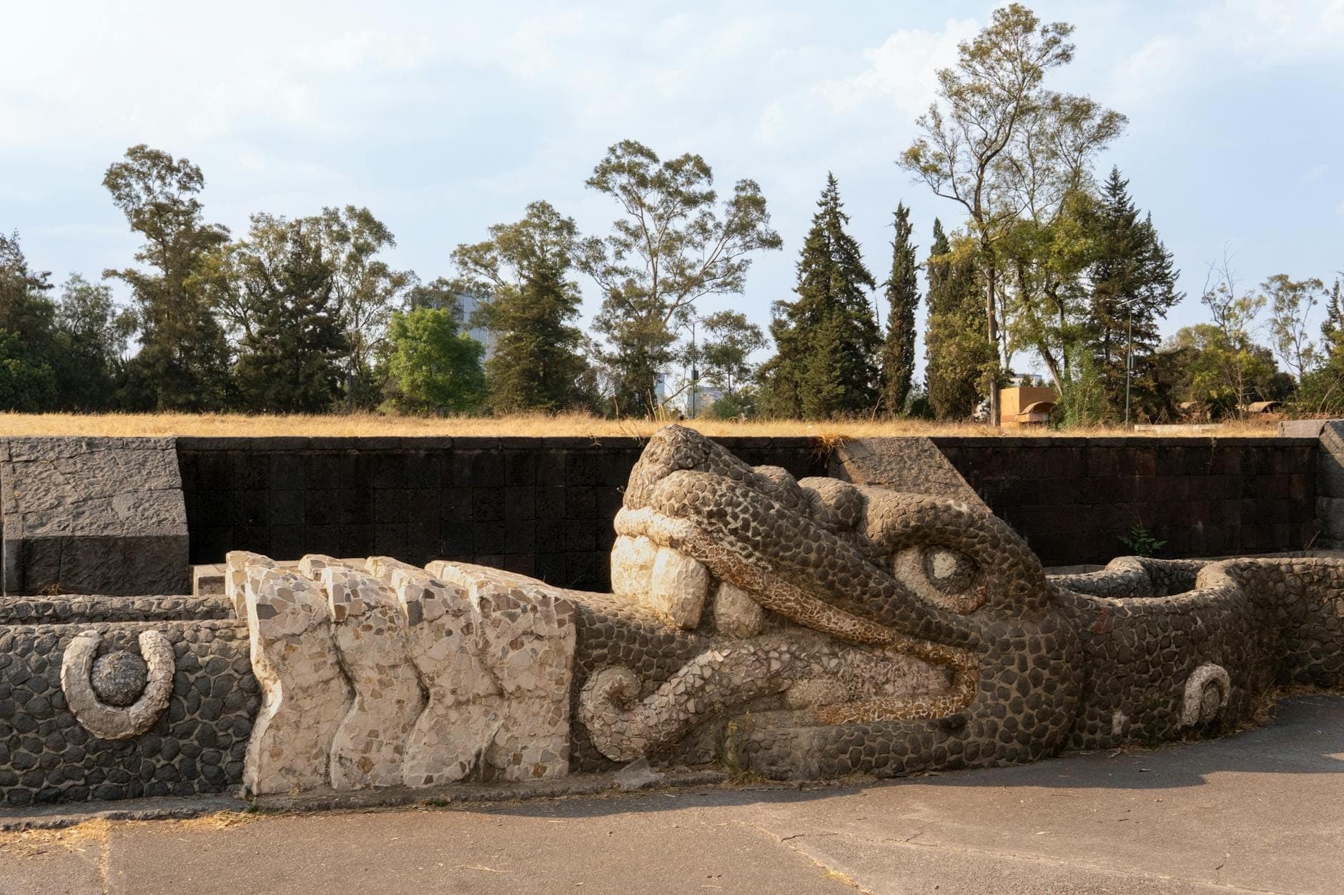 Cabeza de serpiente esculpida en piedra en un sitio arqueológico al aire libre rodeado de árboles en Ciudad de México.