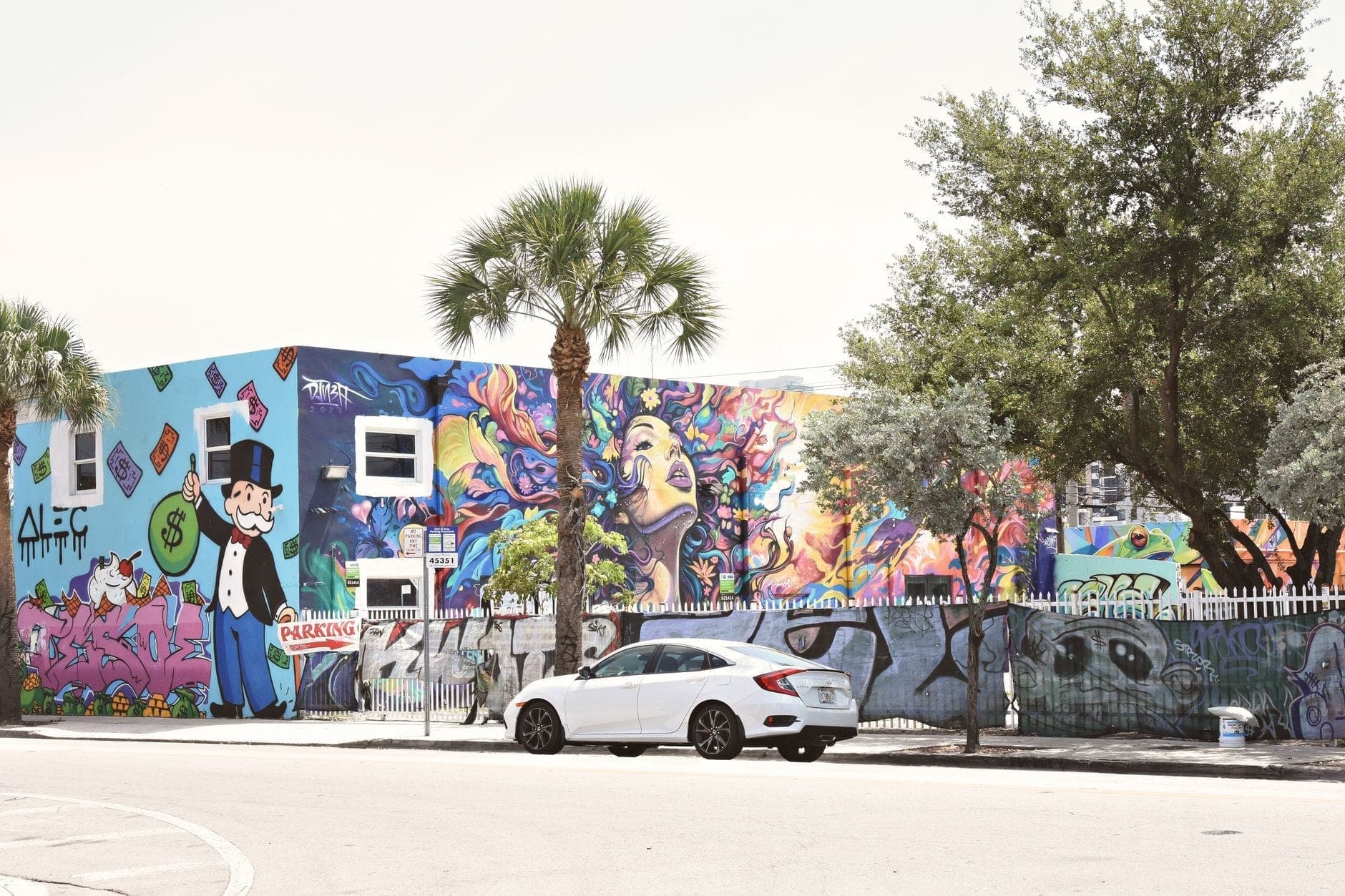 Colorful street art murals on a building in Miami with palm trees and a white car parked in front, under bright daylight.