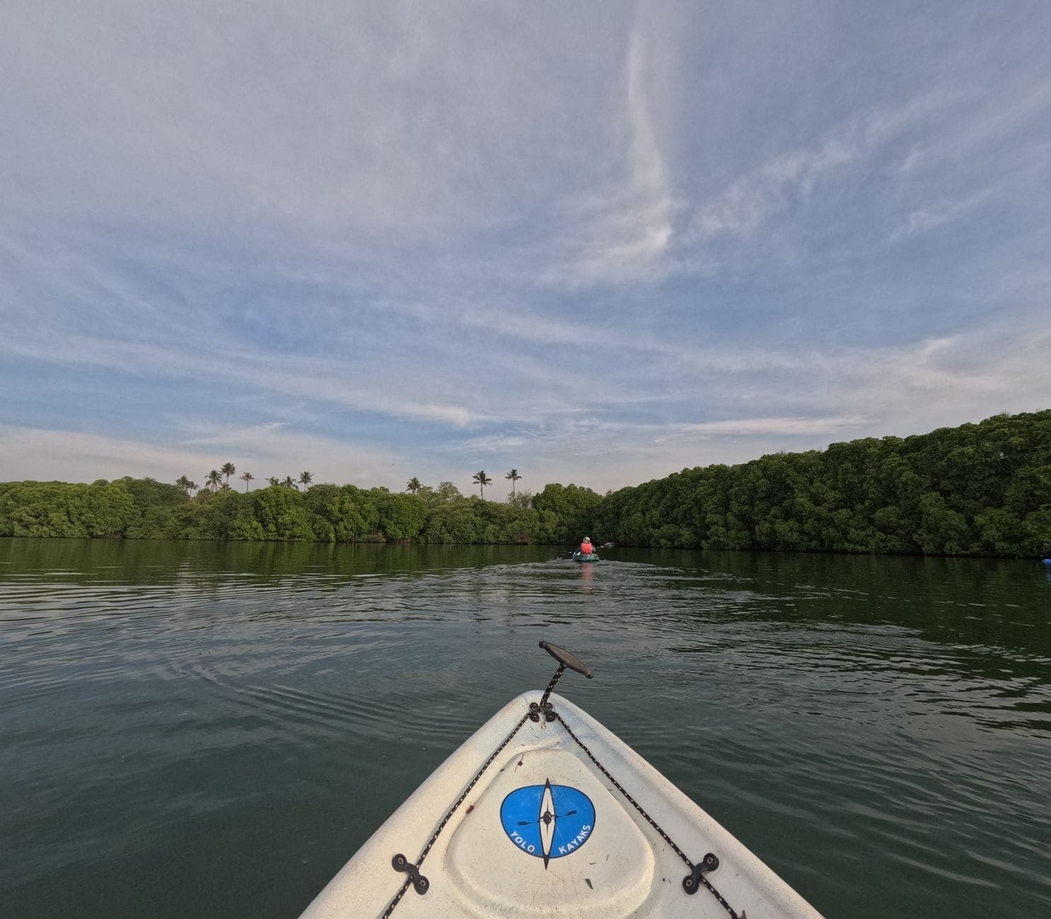 View from a kayak in calm mangrove-lined waters under a blue sky, with another kayaker paddling ahead, showcasing an eco-paddling experience.