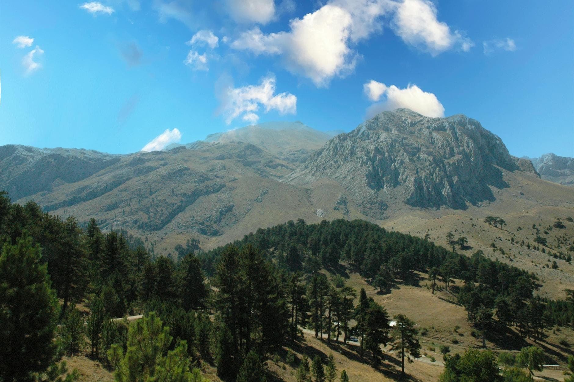 Gebirgslandschaft auf Kreta mit zerklüfteten Gipfeln, Kiefern und einem dramatischen Himmel, der die mythologische und heilige Umgebung der Insel widerspiegelt.