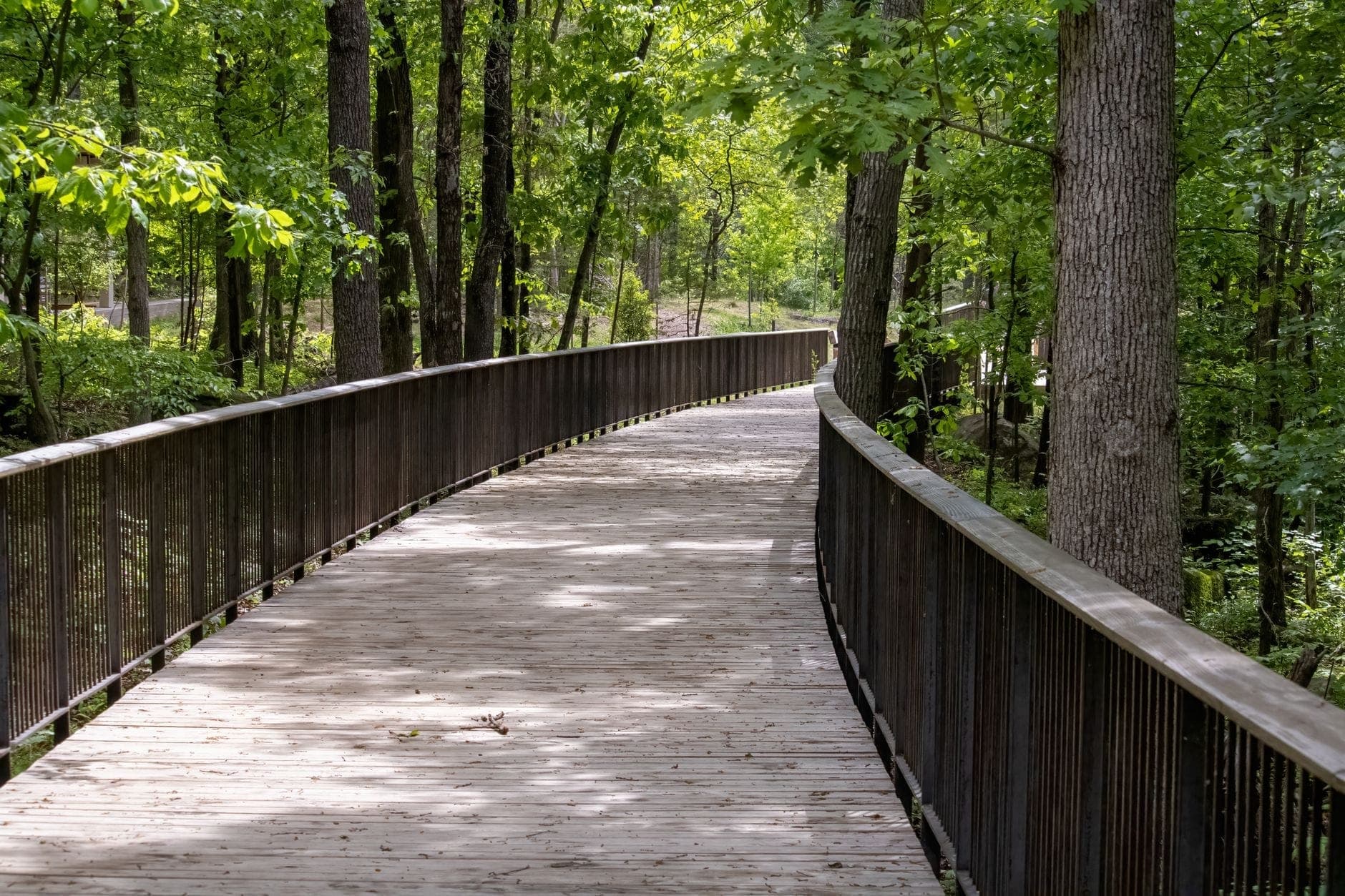 Drewniana promenada wijąca się przez bujny zielony las, idealna do pieszych wędrówek i spacerów przyrodniczych w parkach Nashville.