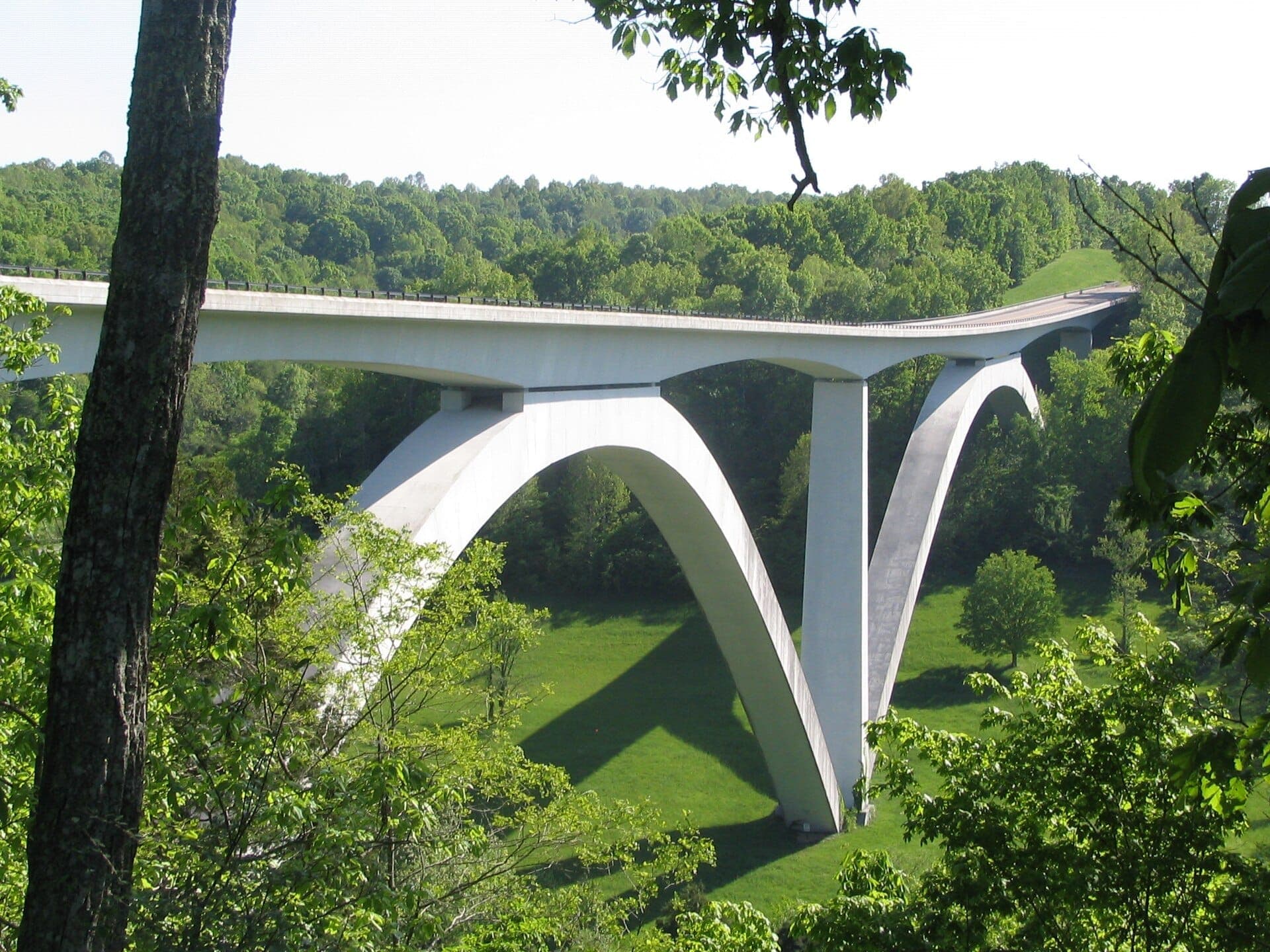The double-arched Natchez Trace Parkway Bridge stretches over lush green hills and forested landscape near Nashville under bright daylight.
