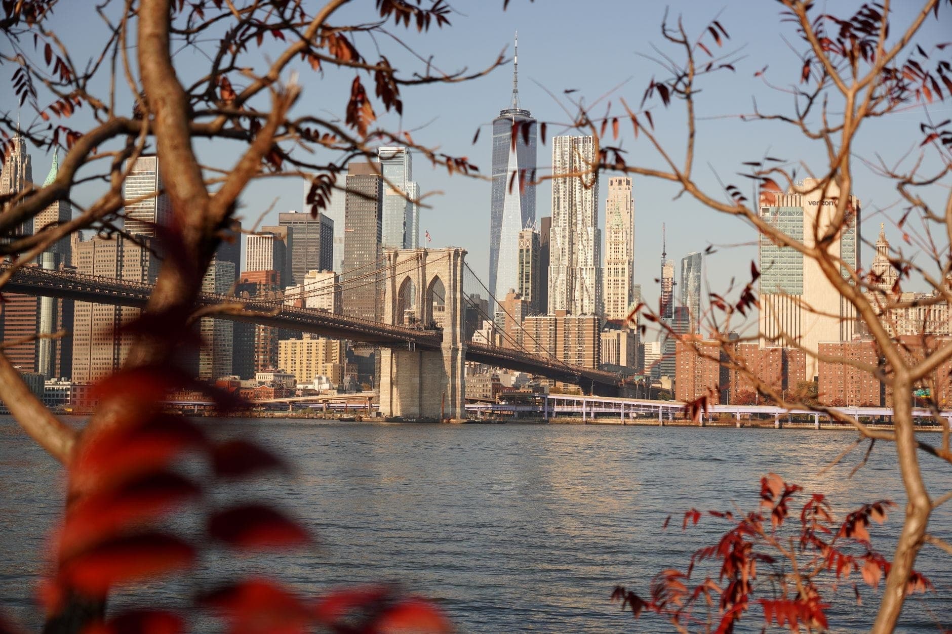 Brooklyn Bridge และเส้นขอบฟ้าของ Manhattan ที่ถูกโอบล้อมด้วยกิ่งไม้ในฤดูใบไม้ร่วงอันหลากสีสัน พร้อมแสงที่คมชัดและบรรยากาศตามฤดูกาลที่แจ่มใส