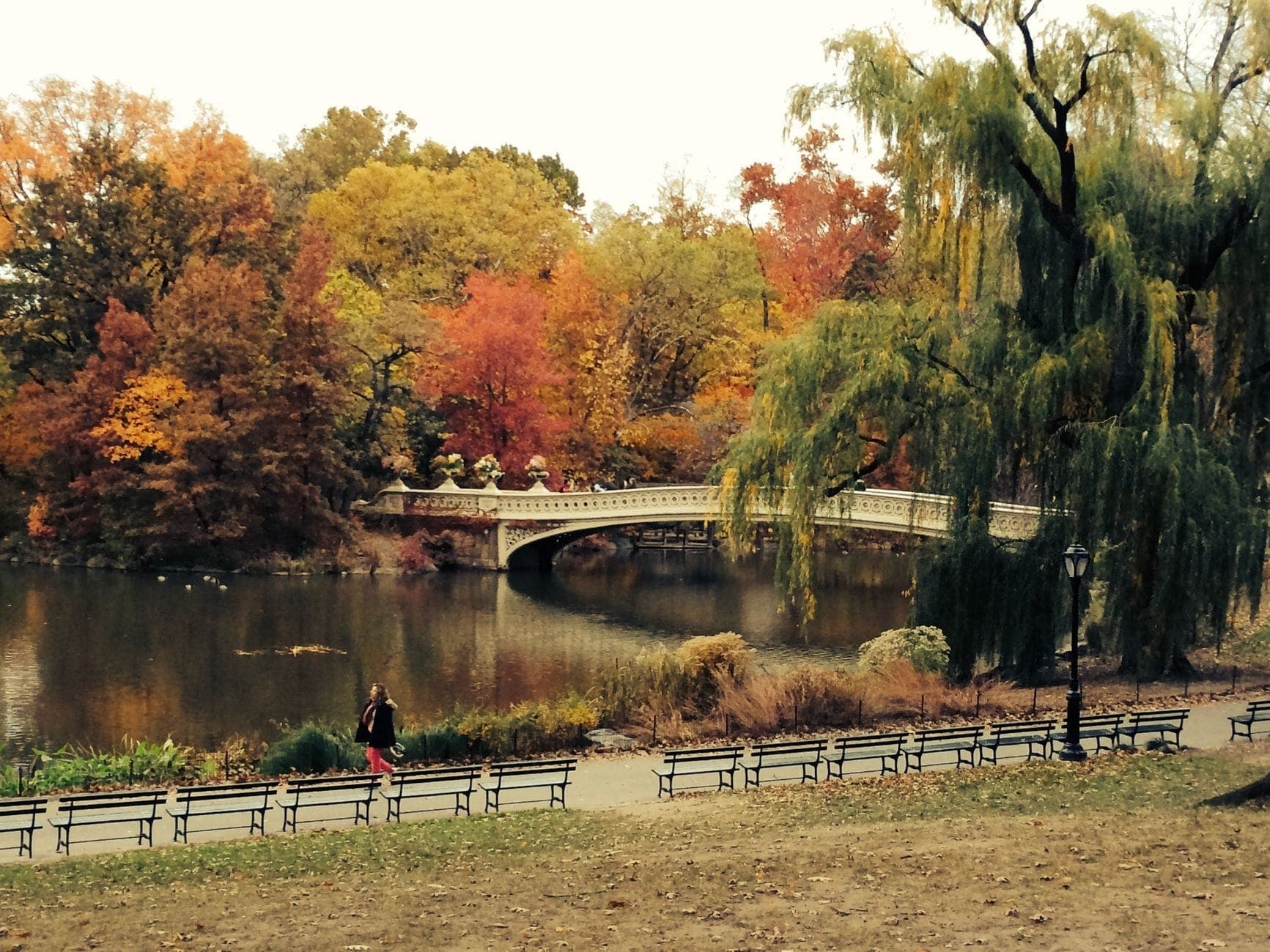 Bow Bridge ใน Central Park ล้อมรอบด้วยใบไม้เปลี่ยนสีในฤดูใบไม้ร่วง พร้อมต้นไม้หลากสีสันและภาพสะท้อนในบ่อน้ำ