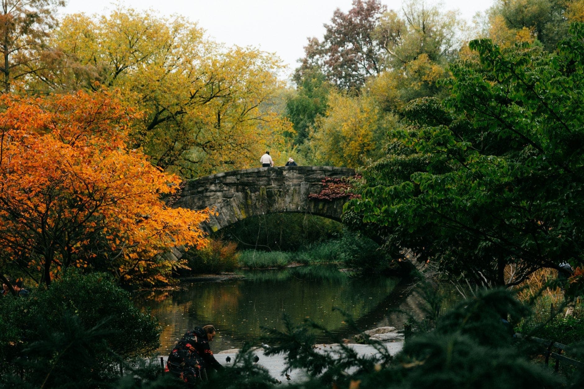 Central Park ในฤดูใบไม้ร่วง พร้อมใบไม้สีส้มและเหลืองสดใส สะพานหินเหนือสระน้ำ และผู้คนที่เพลิดเพลินกับทิวทัศน์ในฤดูใบไม้ร่วง