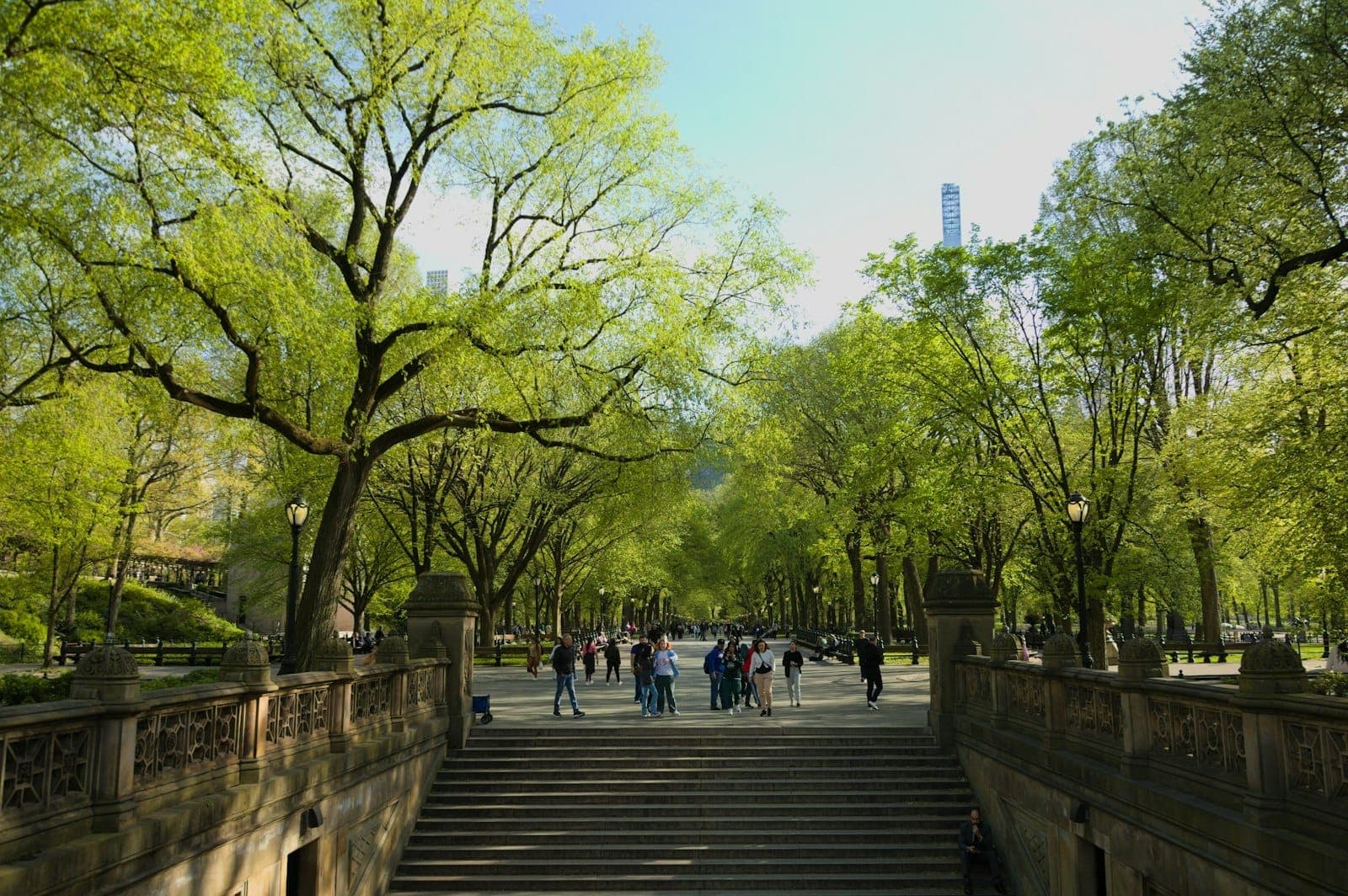 Central Park ในฤดูใบไม้ผลิ มีผู้คนเดินเล่นใต้ต้นไม้เขียวชอุ่ม พร้อมอาคารอันเป็นสัญลักษณ์ของ NYC ปรากฏอยู่เบื้องหลัง