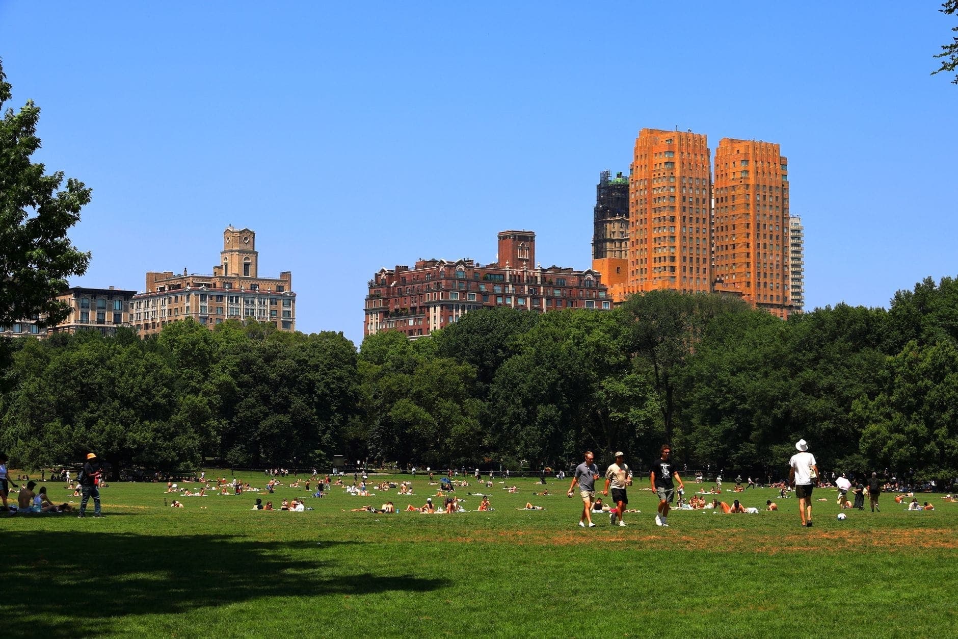 ผู้คนพักผ่อนและเล่นกีฬาในวันแดดสวยบน Great Lawn ของ Central Park โดยมีเส้นขอบฟ้าของ NYC อยู่เบื้องหลังต้นไม้