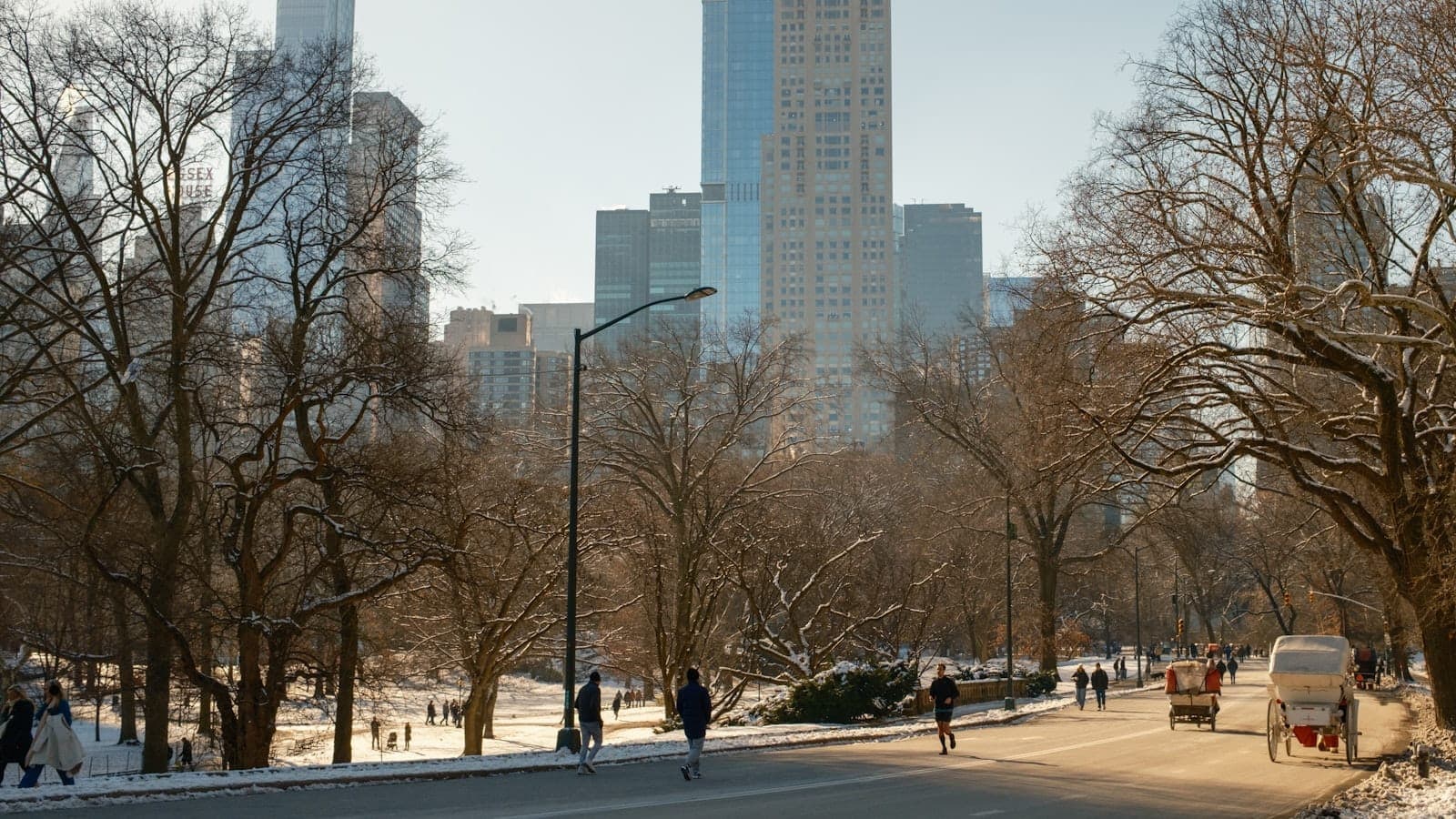 ฉากฤดูหนาวใน Central Park นครนิวยอร์ก มีผู้คนกำลังเดินและวิ่งออกกำลังกายบนทางเดินที่ขอบด้วยหิมะ โดยมีตึกระฟ้าปรากฏอยู่เบื้องหลัง