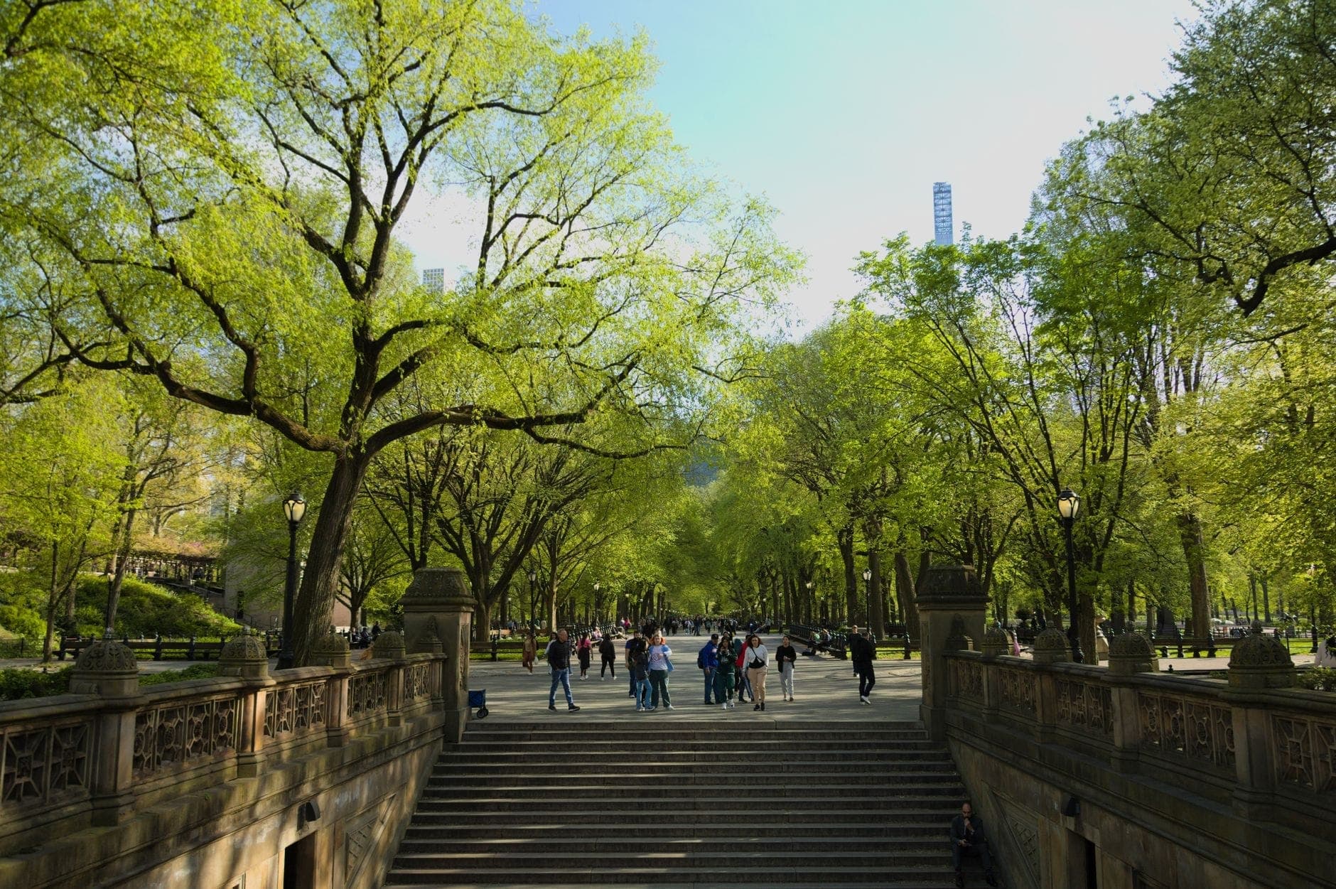 บันไดหินกว้างที่นำเข้าสู่ Central Park ล้อมรอบด้วยต้นไม้และผู้คนที่กำลังเพลิดเพลินกับพื้นที่กลางแจ้งในวันที่แดดสดใส