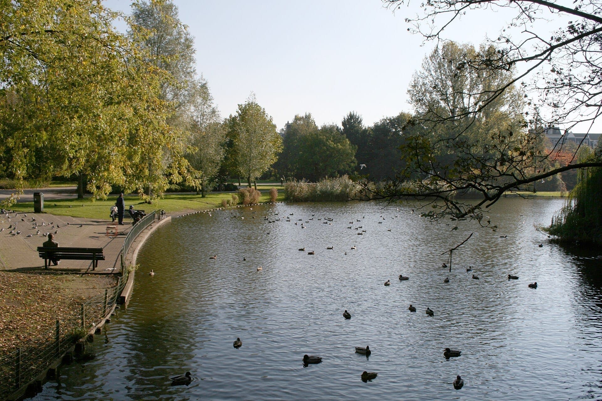 Teich im Oosterpark in Amsterdam mit schwimmenden Enten, grünen Bäumen und Menschen auf Bänken unter klarem Tageslicht.