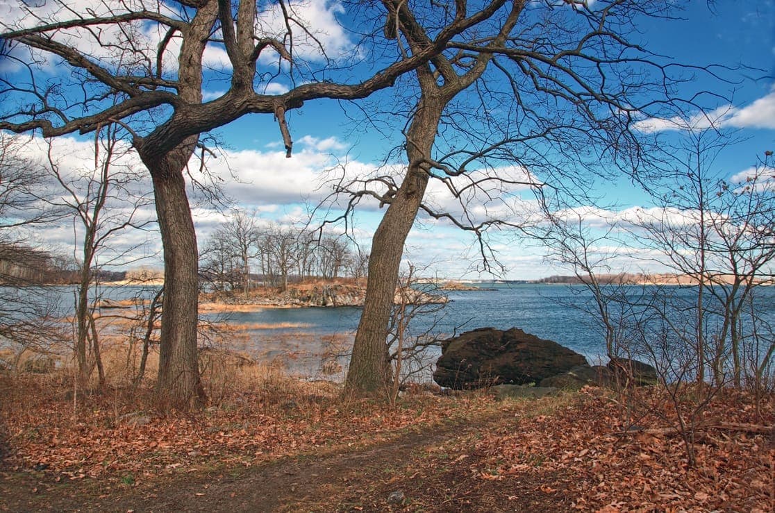 ต้นไม้ไร้ใบและชายฝั่งหินมองเห็นน้ำสีฟ้าของ Pelham Bay Park ใต้ท้องฟ้าสว่างที่มีเมฆกระจาย