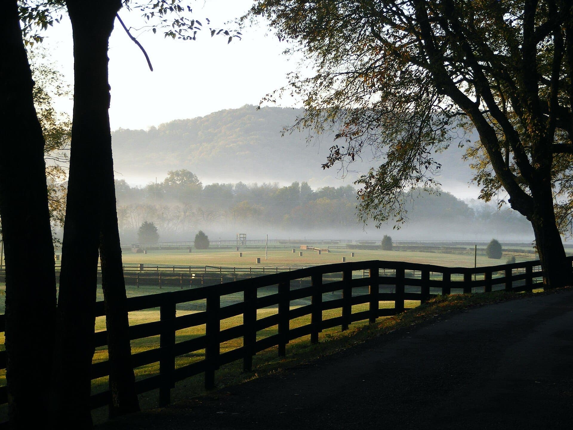 Sanft geschwungene grüne Felder und Holzzäune des Percy Warner Park bei Sonnenaufgang, eingerahmt von hohen Bäumen und Nebel über fernen bewaldeten Hügeln.