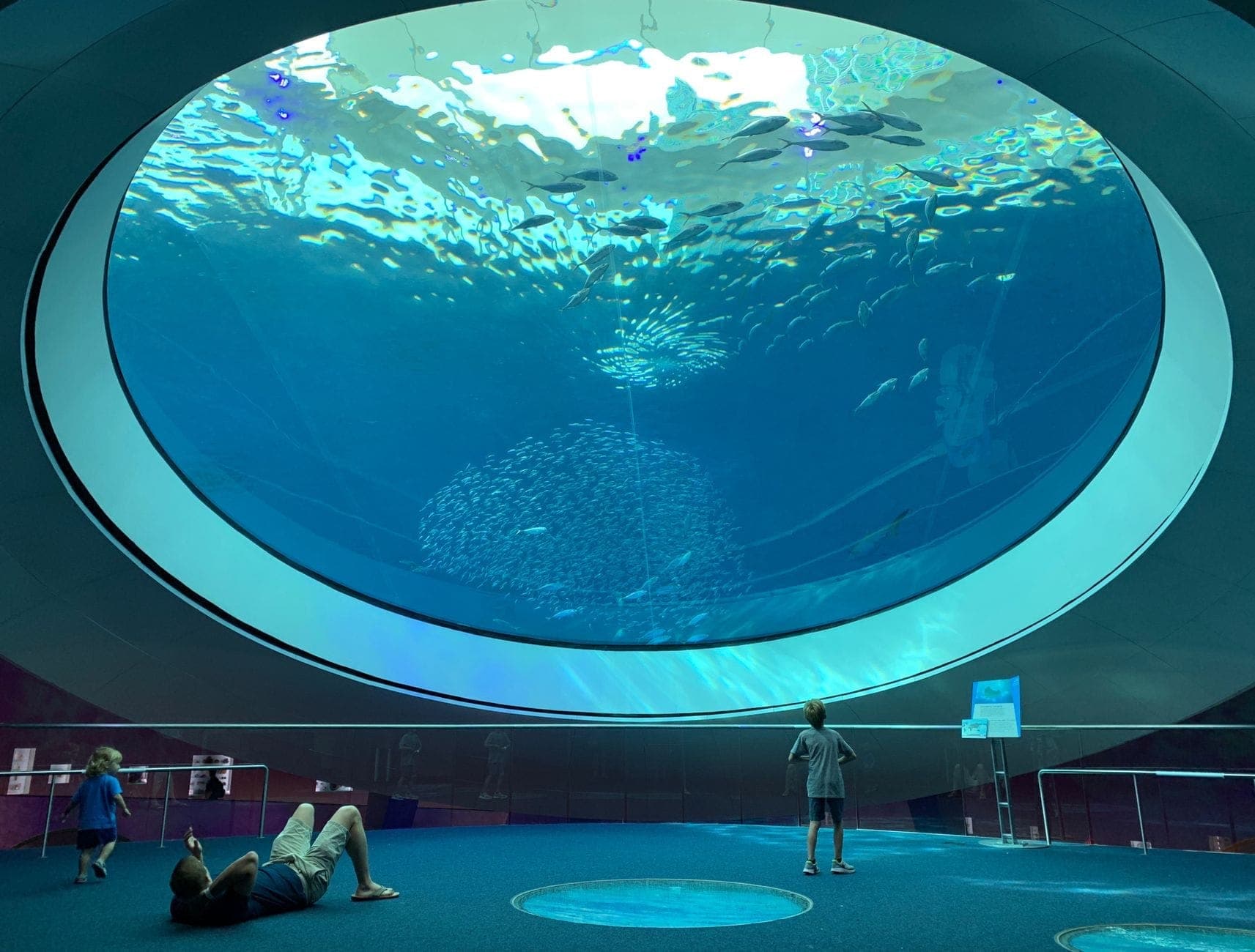 Visitors observe the massive overhead aquarium teeming with fish at the Philip and Patricia Frost Museum of Science in Miami.