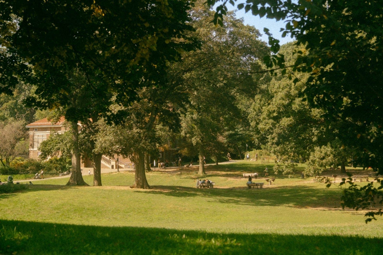 ทิวทัศน์ทุ่งหญ้าโล่งใน Prospect Park มีต้นไม้ให้ร่มเงา คนกำลังพักผ่อน นั่งปิกนิก และมีอาคารสวนอยู่ด้านหลังในวันแดดออก