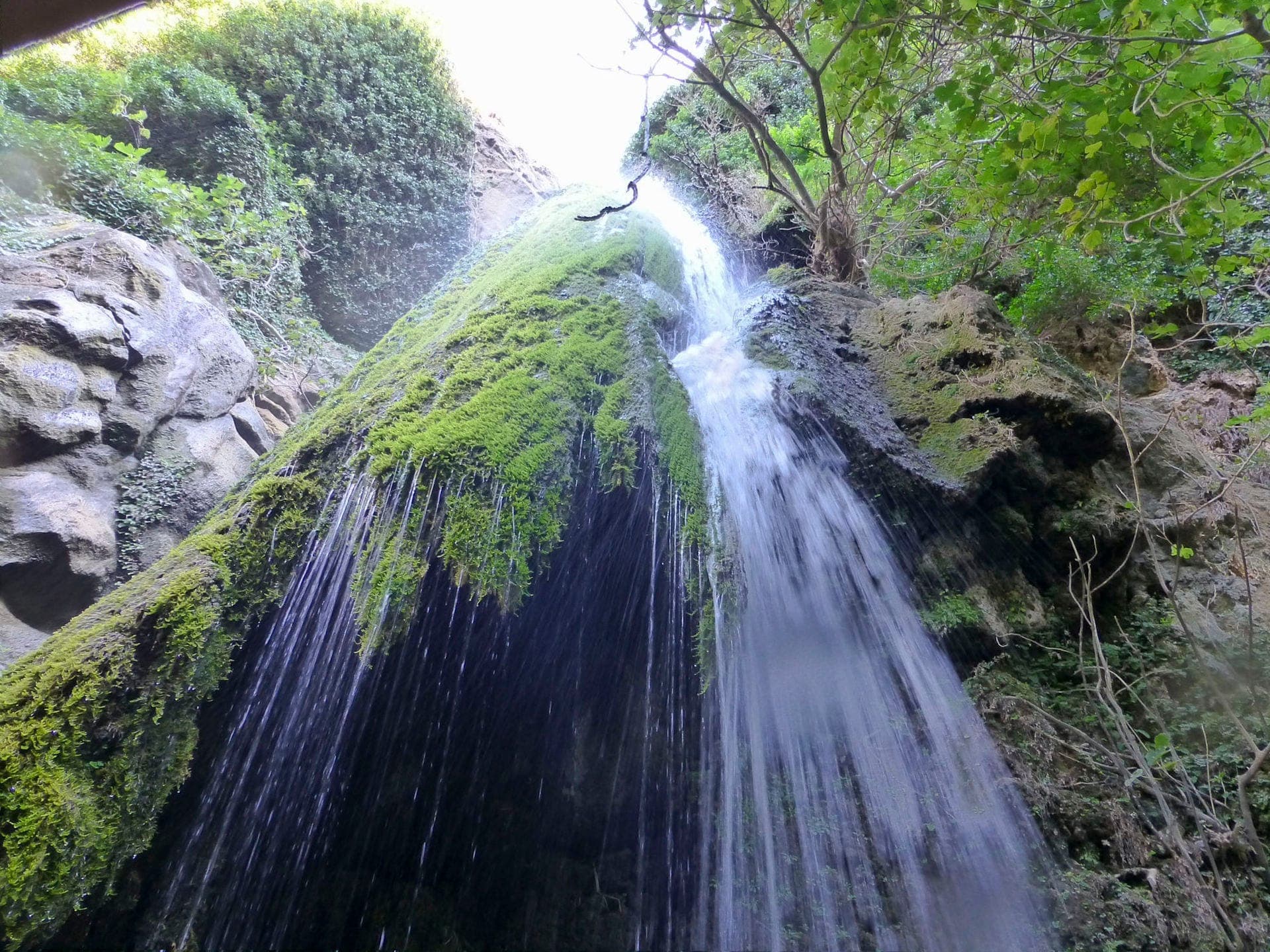 Der Wasserfall der Richtis-Schlucht stürzt über moosbedeckte Felsen, umgeben von üppigem Grün und schroffen Klippen im hellen Tageslicht.