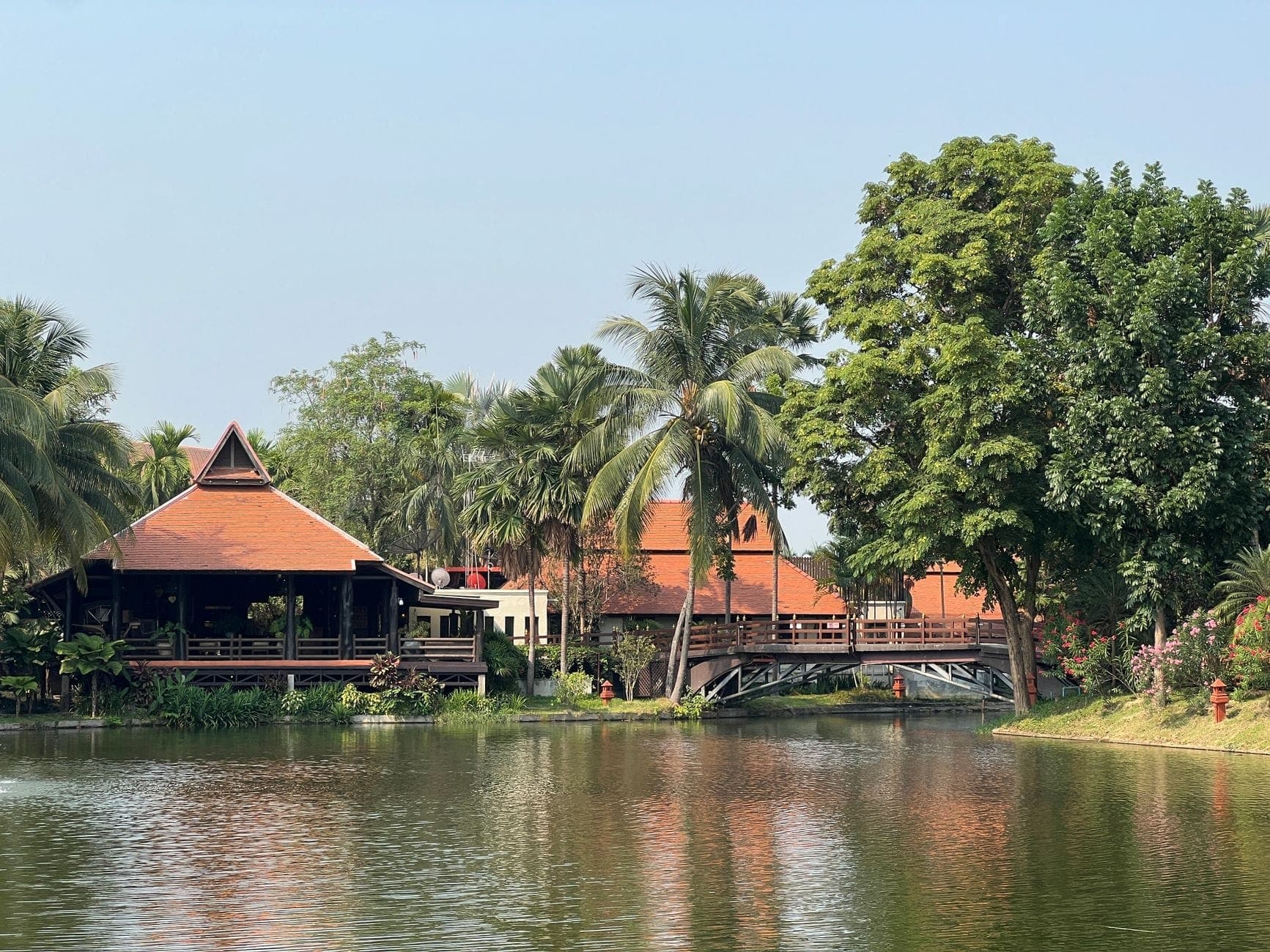 Traditionelle Gebäude am Flussufer mit orangefarbenen Ziegeldächern und üppigen Palmen am Ping River, mit ruhigem Wasser und einer Fußgängerbrücke unter klarem Himmel.
