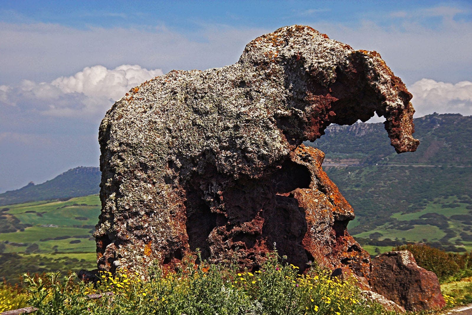Vista de cerca de la Roccia dell'Elefante, una gran formación rocosa con forma de elefante rodeada de flores silvestres y colinas verdes ondulantes en Cerdeña.