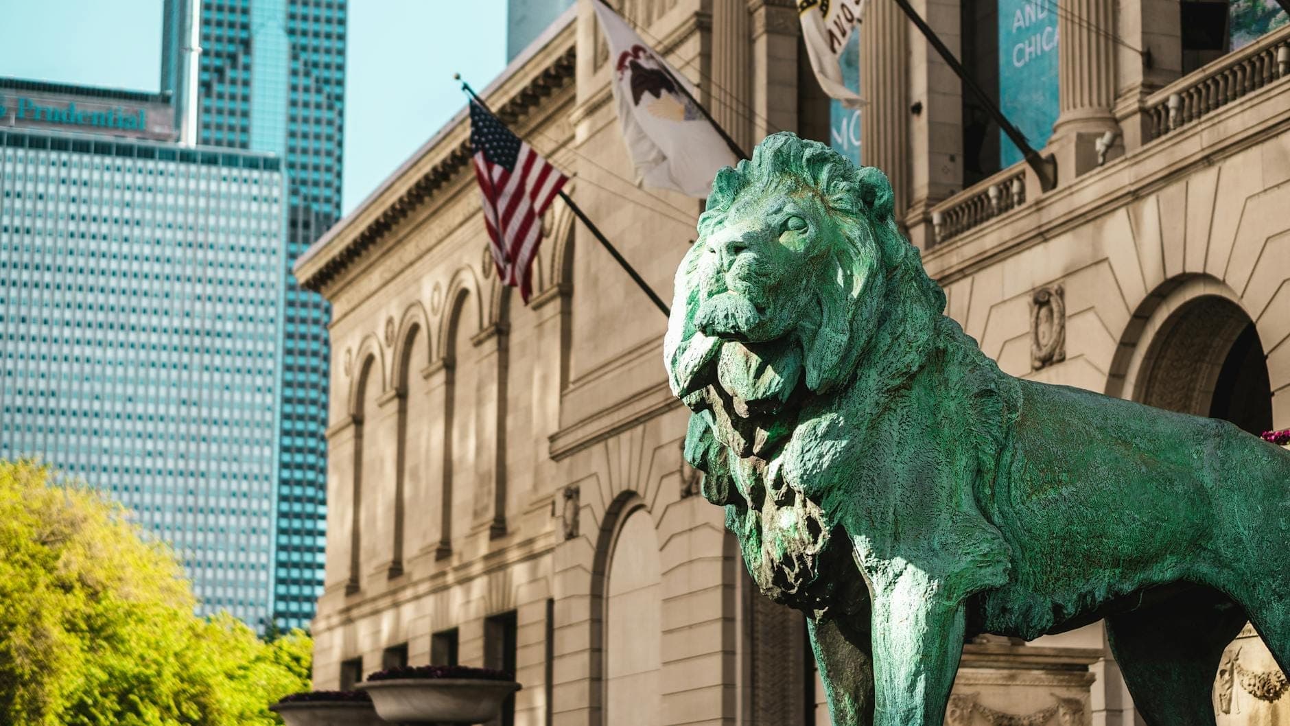 Iconic bronze lion statue outside the Art Institute of Chicago with flags, historic building, and city skyscrapers visible in background.
