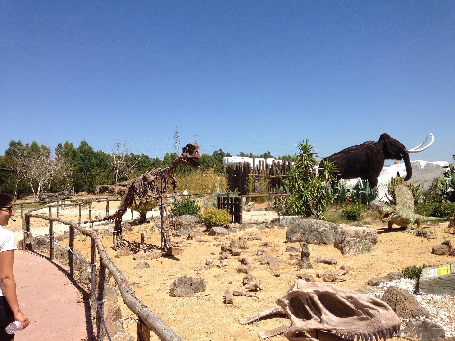 Esqueletos de dinosaurios, un modelo de mamut lanudo y plantas prehistóricas se exhiben al aire libre en el Parco Sardegna in Miniatura bajo un cielo azul despejado.