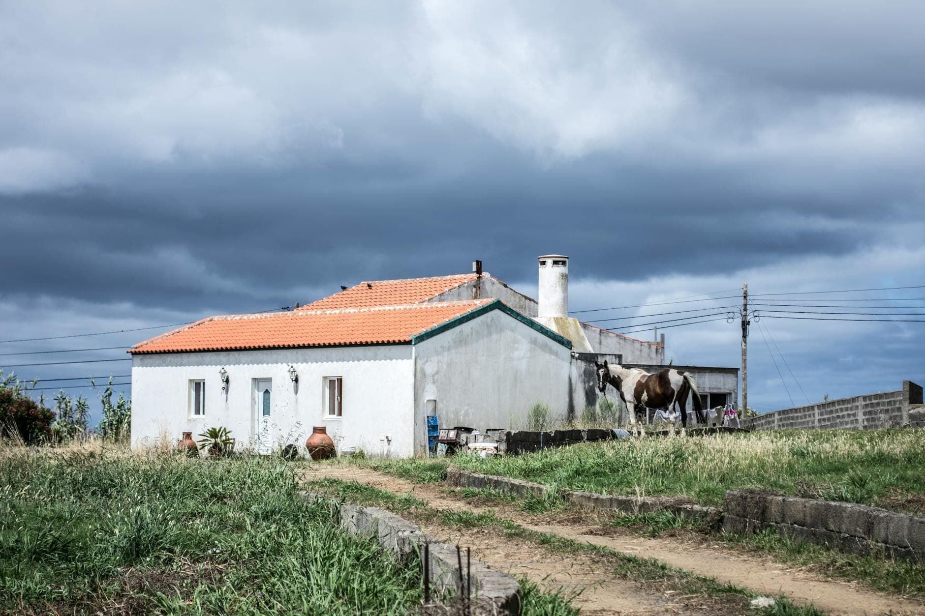 Casa de campo con paredes blancas y tejado de tejas rojas, vaca de pie cerca, paisaje rural con cielo nublado y camino sin pavimentar en primer plano.