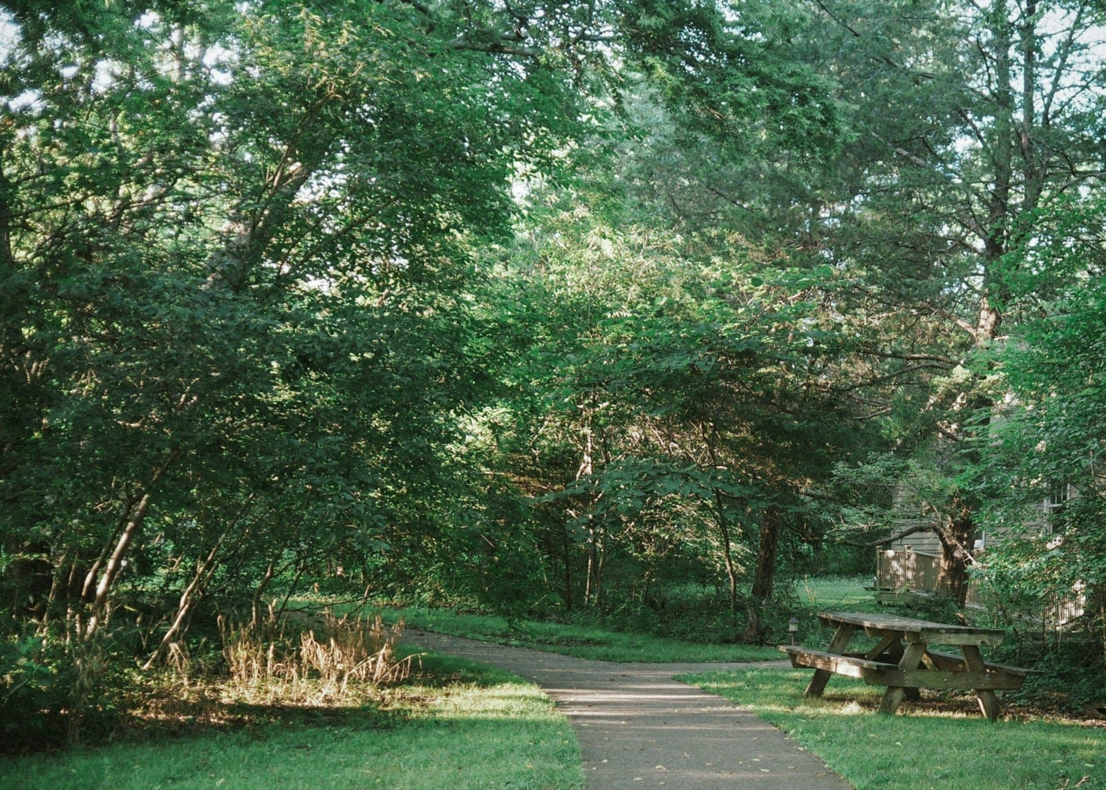 Shelby Bottoms Greenway and Natural Area: Nashville's Best Free Escape