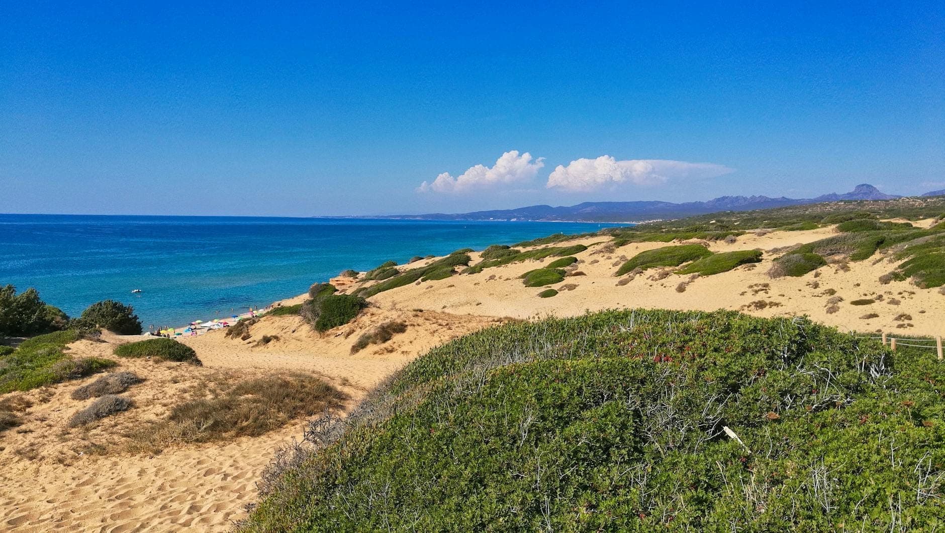 Weitblick über goldene Sanddünen mit niedrigem grünem Gebüsch, die sanft in Richtung eines makellosen türkisfarbenen Meeres unter einem klaren blauen Himmel abfallen.