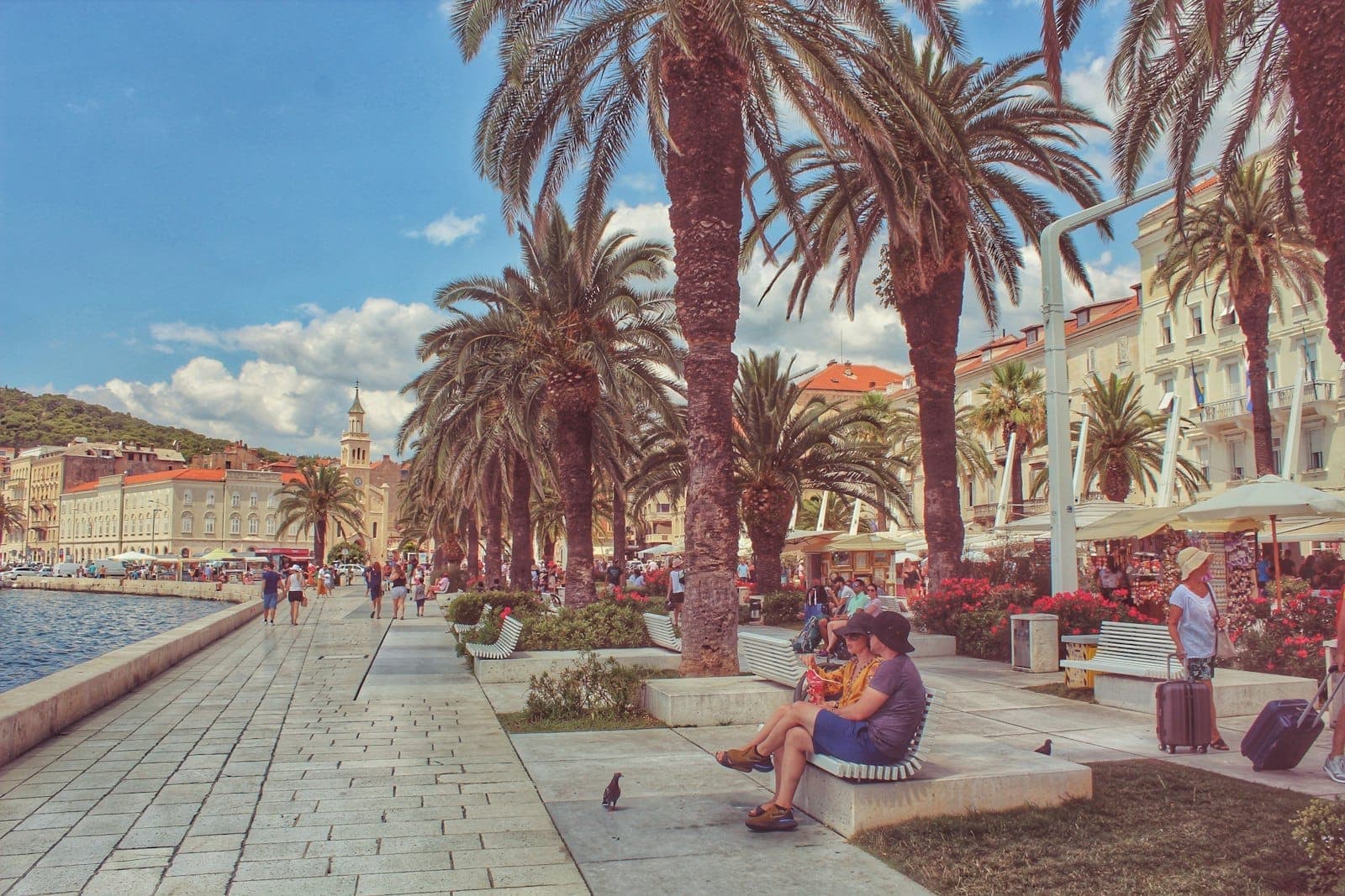 Lungomare alberato di palme con persone che si rilassano e passeggiano lungo il lungomare Riva di Split, edifici storici e cielo azzurro sullo sfondo.