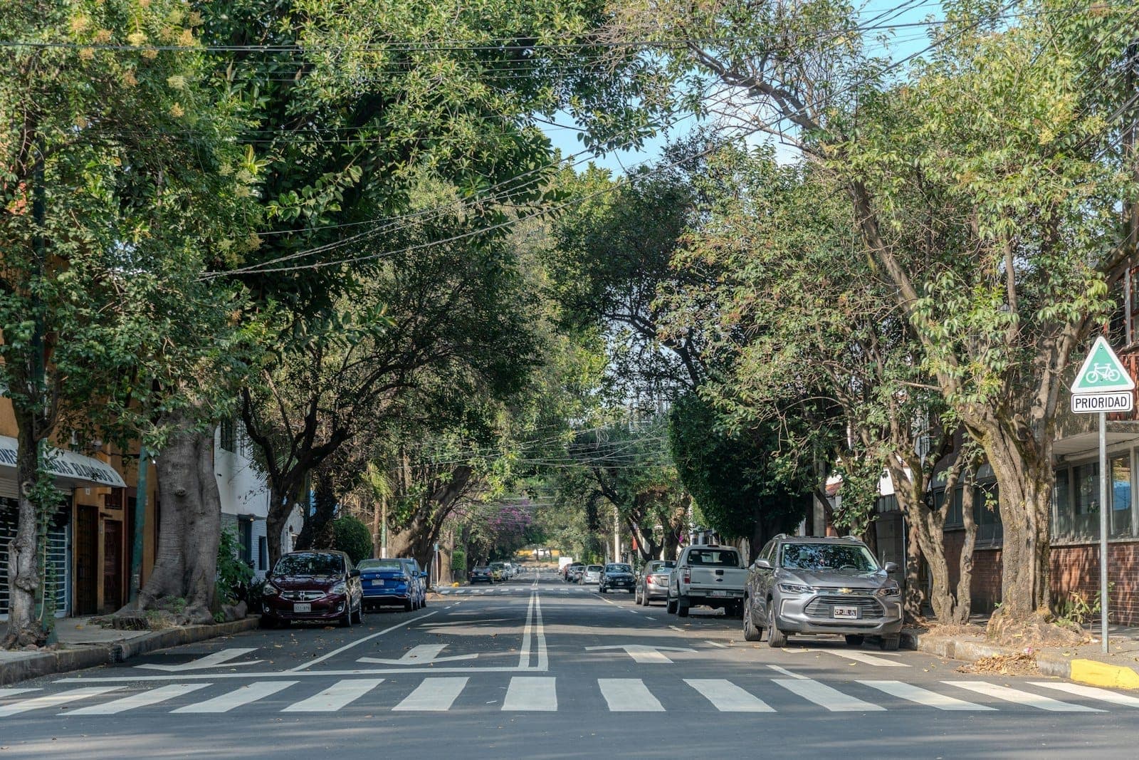 Calle residencial arbolada con coches aparcados, paso de peatones y luz solar típica de los barrios Roma o Condesa en Ciudad de México.