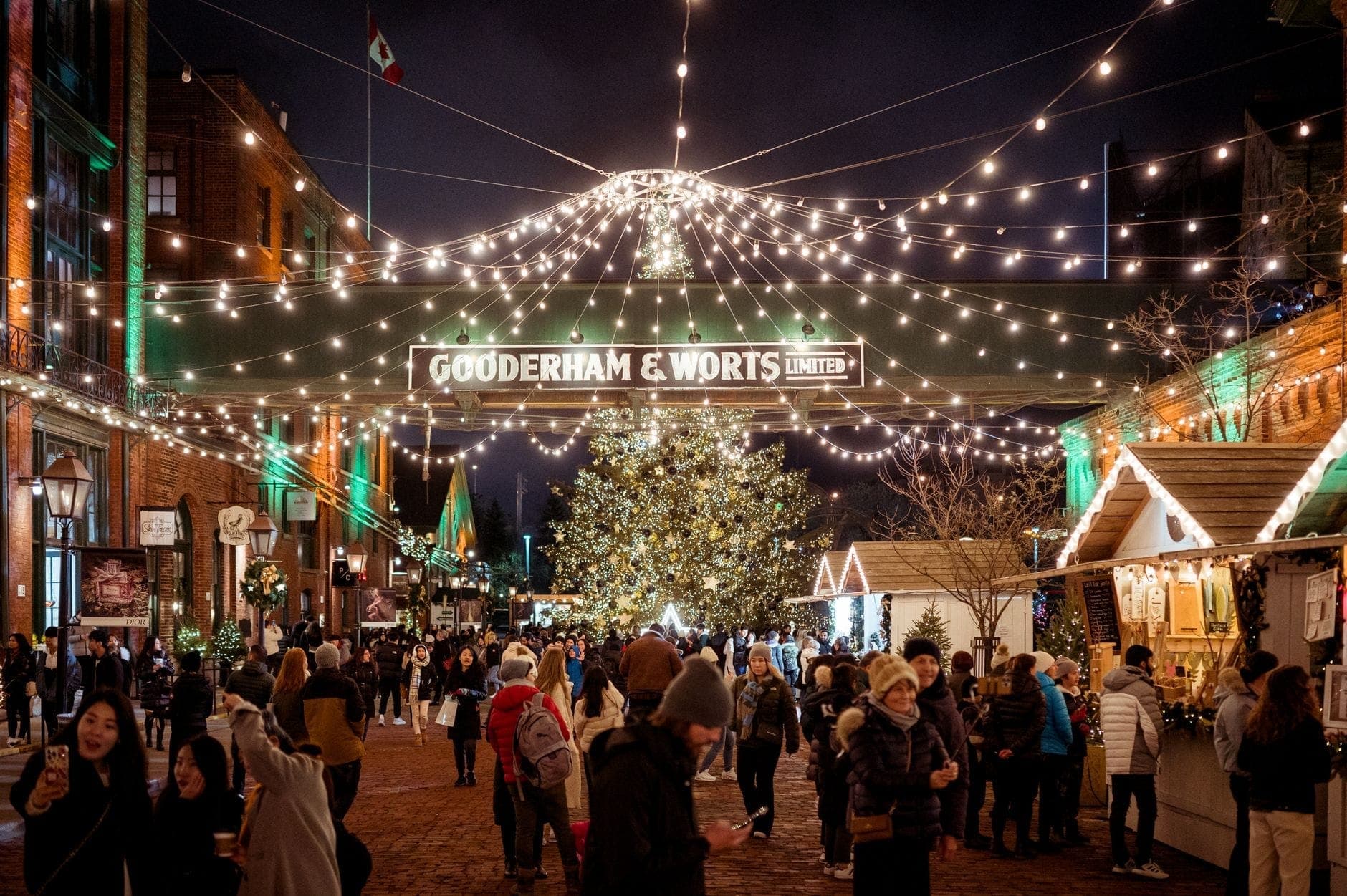 Festive night scene at Toronto's Distillery District, with people walking under string lights and a large decorated Christmas tree.