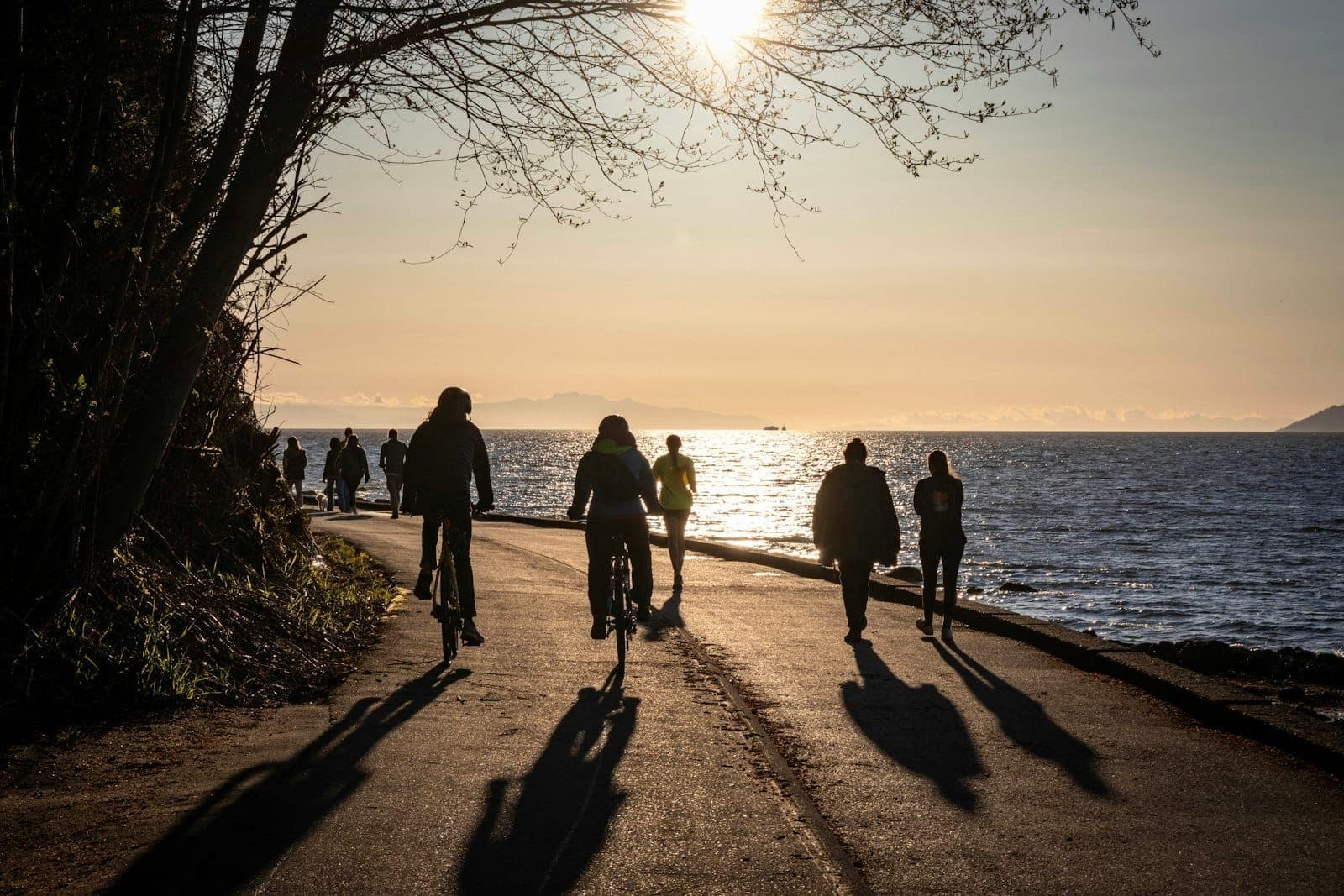 ผู้คนกำลังเดินและปั่นจักรยานบน Stanley Park Seawall ริมมหาสมุทรในยามพระอาทิตย์ตกดิน โดยมีต้นไม้และสายน้ำเป็นฉากหลัง
