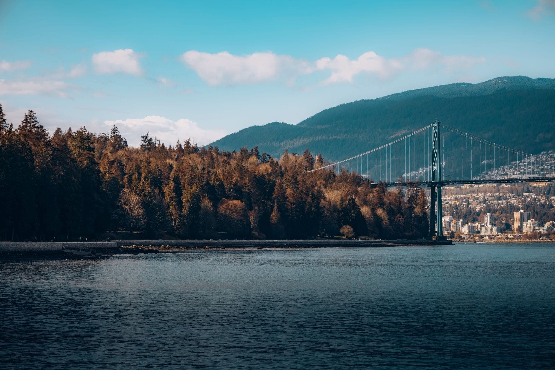 วิวกว้างของสะพาน Lions Gate Bridge ที่ทอดข้ามผืนน้ำ พร้อมเทือกเขา North Shore ที่ปกคลุมด้วยป่าไม้เป็นฉากหลังใต้ท้องฟ้าสีฟ้า