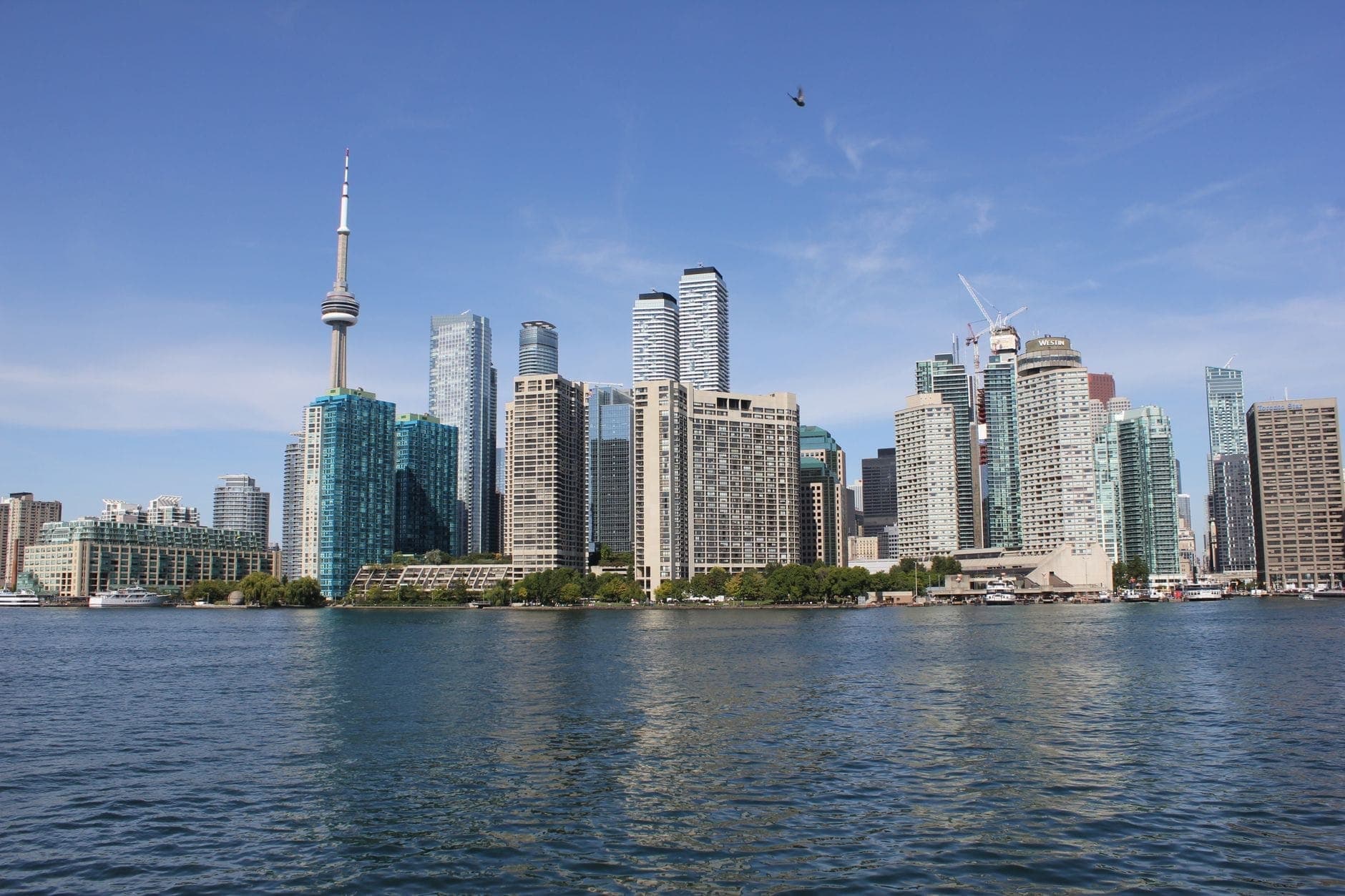 Skyline di Toronto con la CN Tower, moderni grattacieli e cielo azzurro estivo visto dal lago Ontario in una giornata luminosa e limpida.