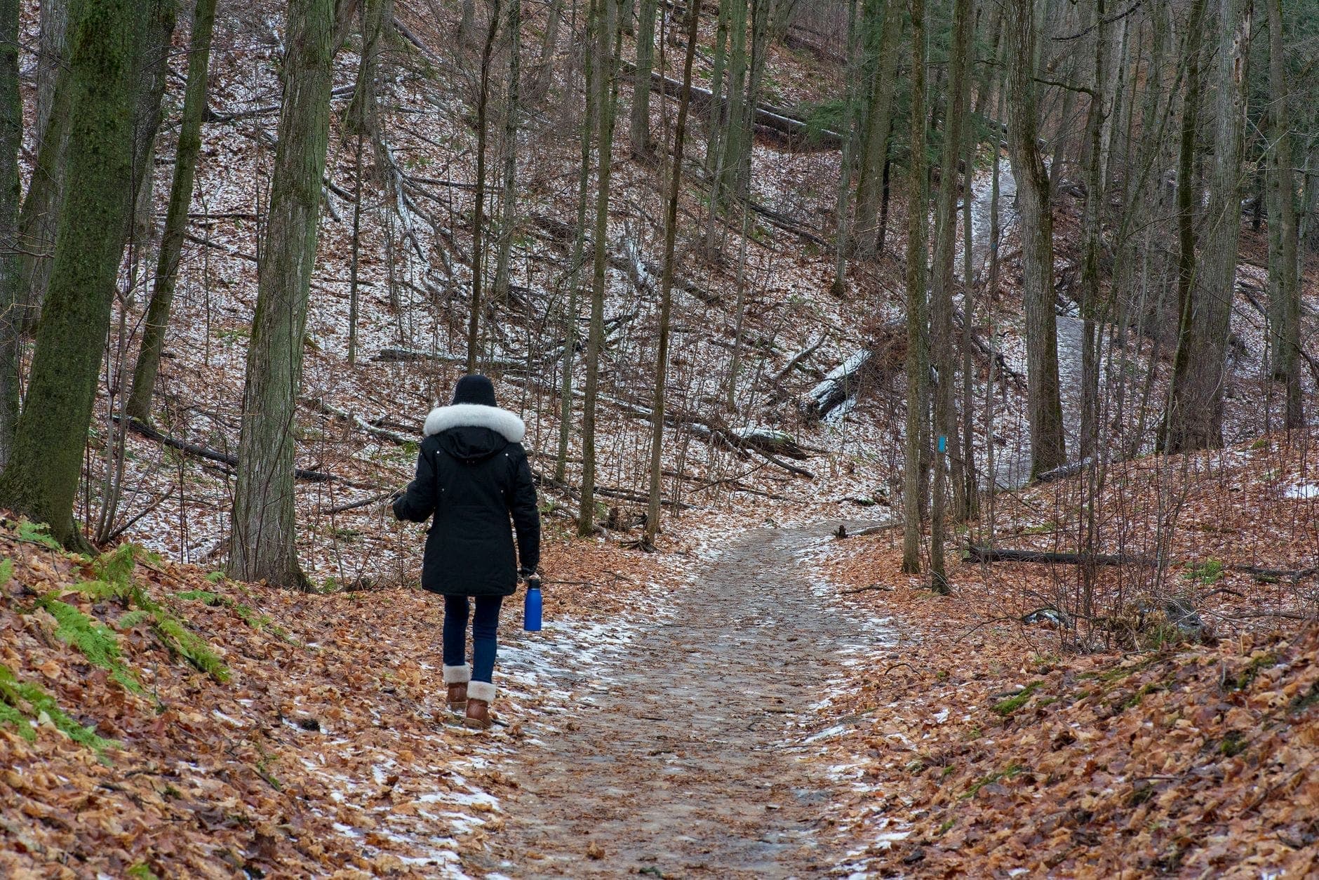 Persona con cappotto invernale che cammina lungo un sentiero di un burrone forestale parzialmente ghiacciato e coperto di foglie, in condizioni di tardo autunno o primo inverno.