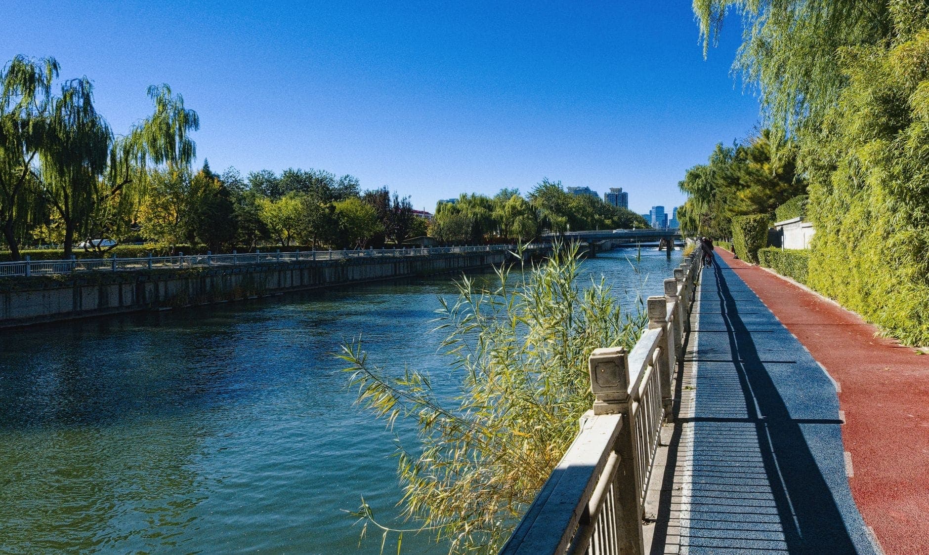 Sentiero soleggiato lungo il fiume con ringhiera, alberi e corso d'acqua limpido, che porta verso lo skyline urbano di Toronto in lontananza.