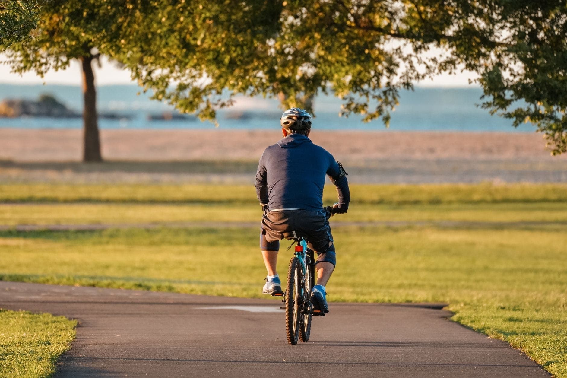 A cyclist rides along a paved trail by the Toronto waterfront, with green grass, trees, and Lake Ontario visible in the background.