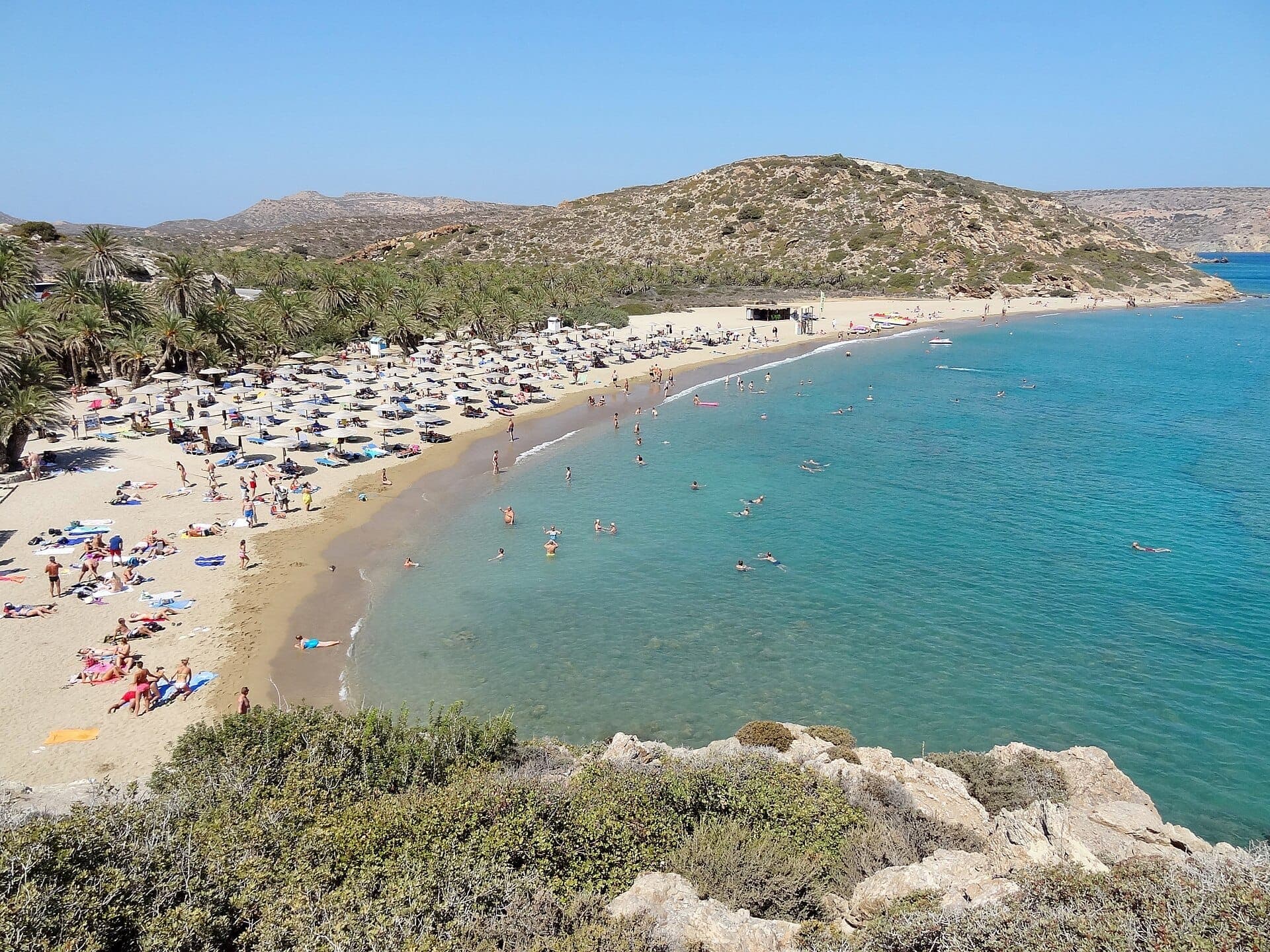 Blick auf Vai Palm Beach auf Kreta mit goldenem Sand, türkisfarbenem Wasser, Schwimmern, Sonnenanbetern und einem dichten Hintergrund aus Palmen.