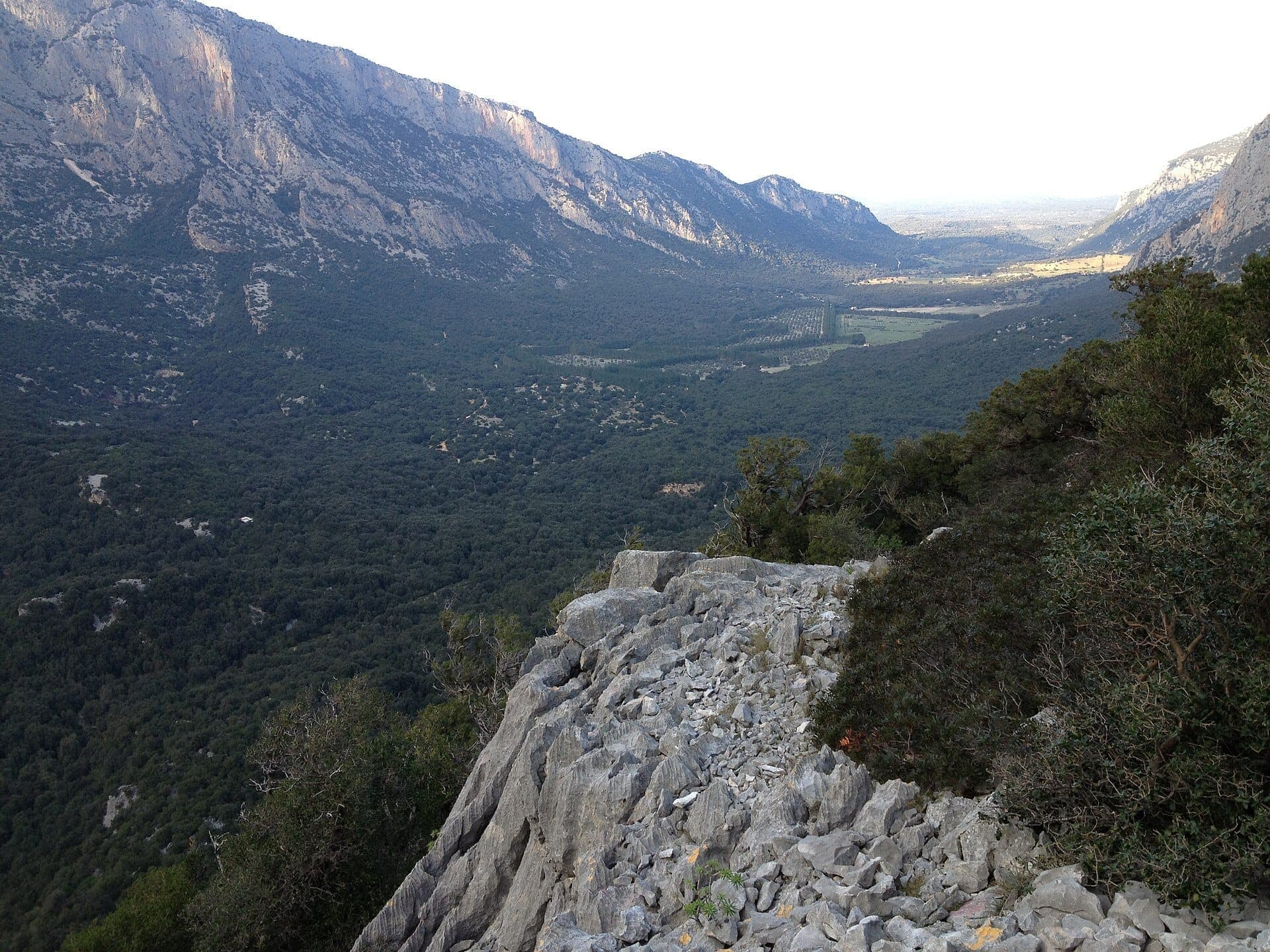 Afloramiento rocoso de piedra caliza con vistas al vasto y verde Valle di Lanaittu, enmarcado por las imponentes montañas de Supramonte bajo la luz natural del día.