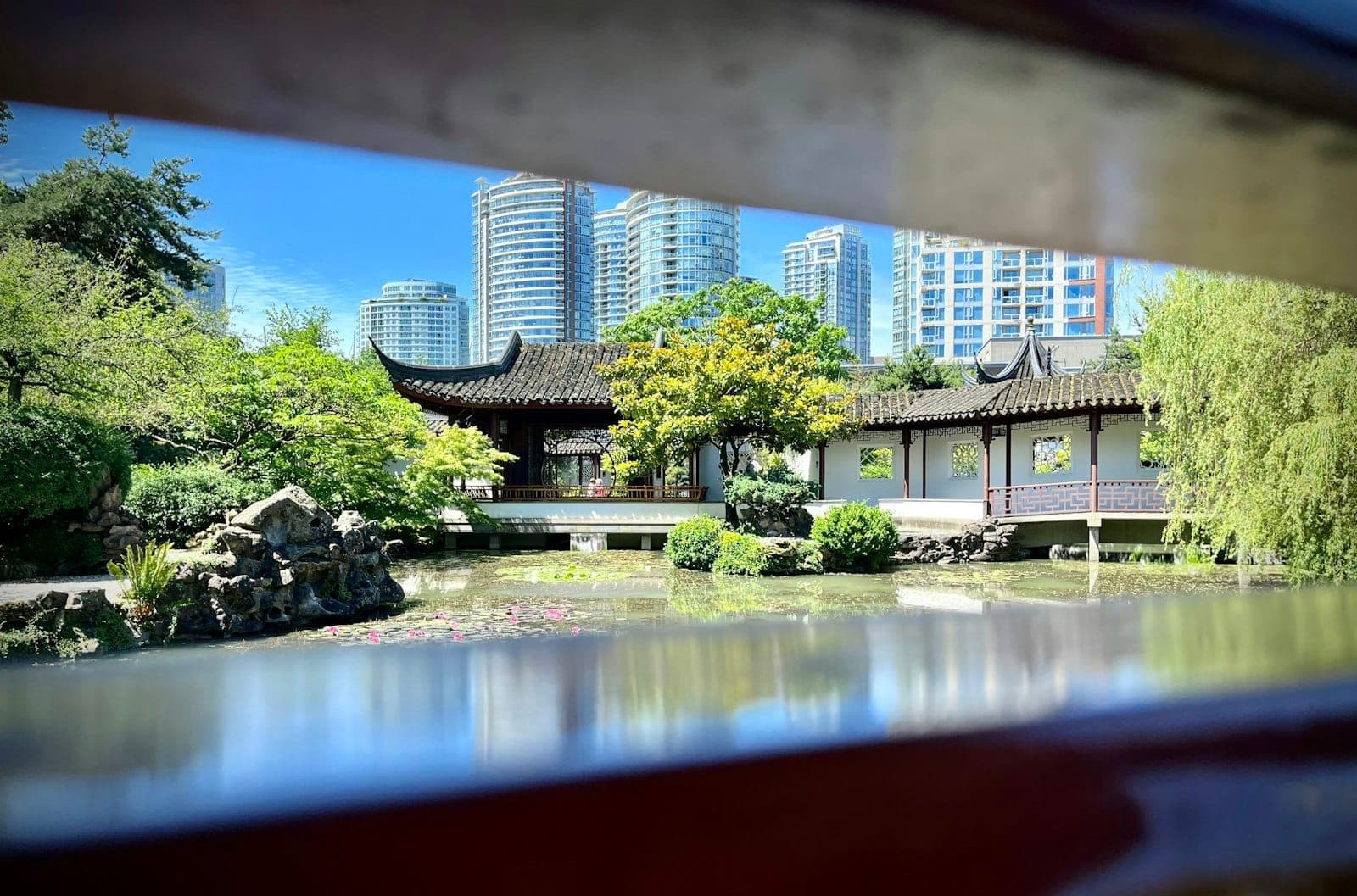 สวนจีนคลาสสิกพร้อมศาลาประดับประดา ต้นไม้เขียวขจี และเส้นขอบฟ้าเมือง Vancouver เป็นฉากหลังใต้ท้องฟ้าสีฟ้า