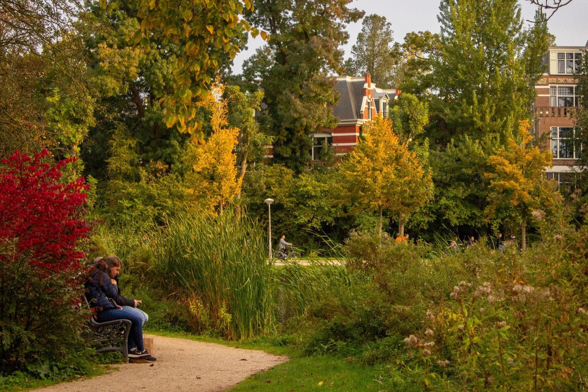 Eine Person sitzt auf einer Bank an einem geschwungenen Weg in einem üppig begrünten Amsterdamer Park mit farbenfrohen Herbstbäumen und klassischen Backsteingebäuden im Hintergrund.