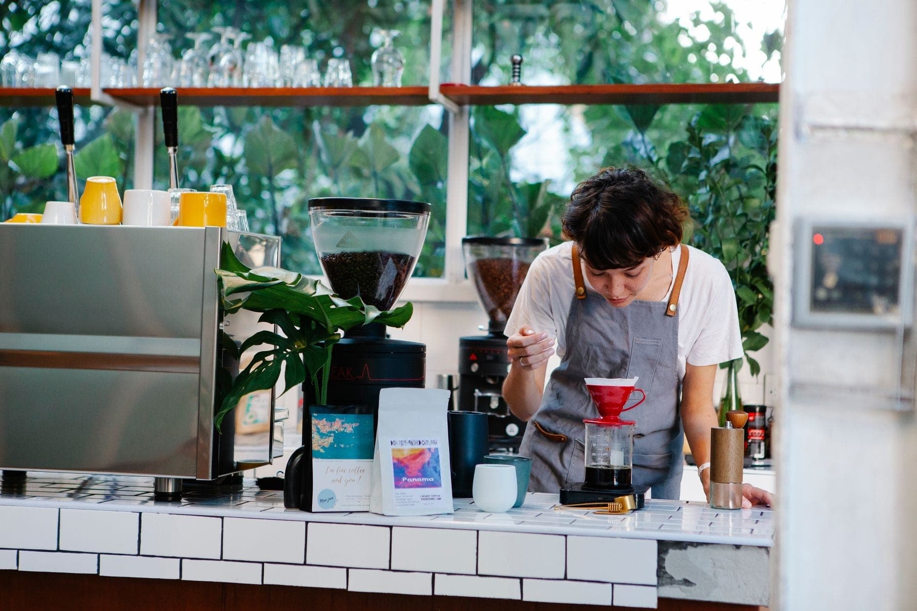 Barista preparing pour-over coffee at a modern, bright cafe in Chiang Mai with coffee equipment and plants in the background.
