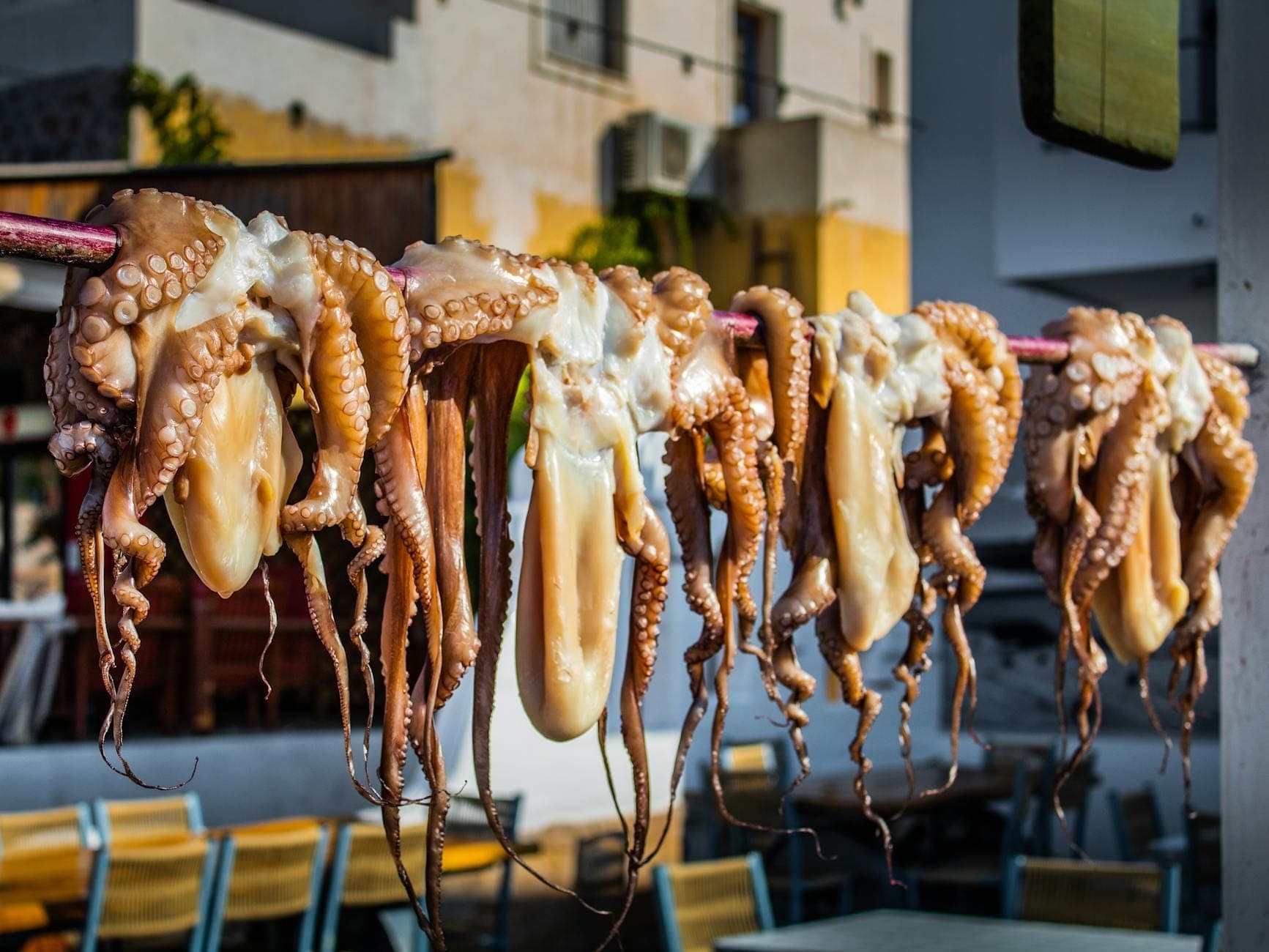 Frischer Tintenfisch hängt zum Trocknen vor einer Taverne auf Santorin, im Hintergrund Tische und Stühle – ein klassisches Bild der griechischen Meeresfrüchte-Tradition.