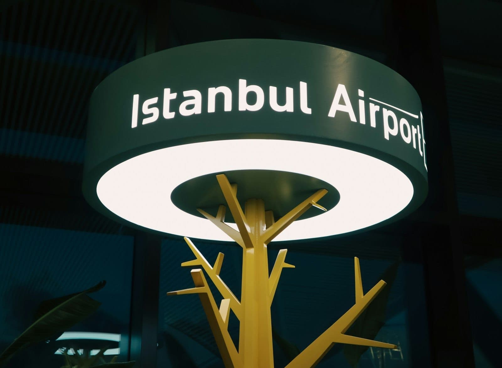 Подсвеченная вывеска Istanbul Airport в помещении, на фоне современных дизайнерских элементов и растений.