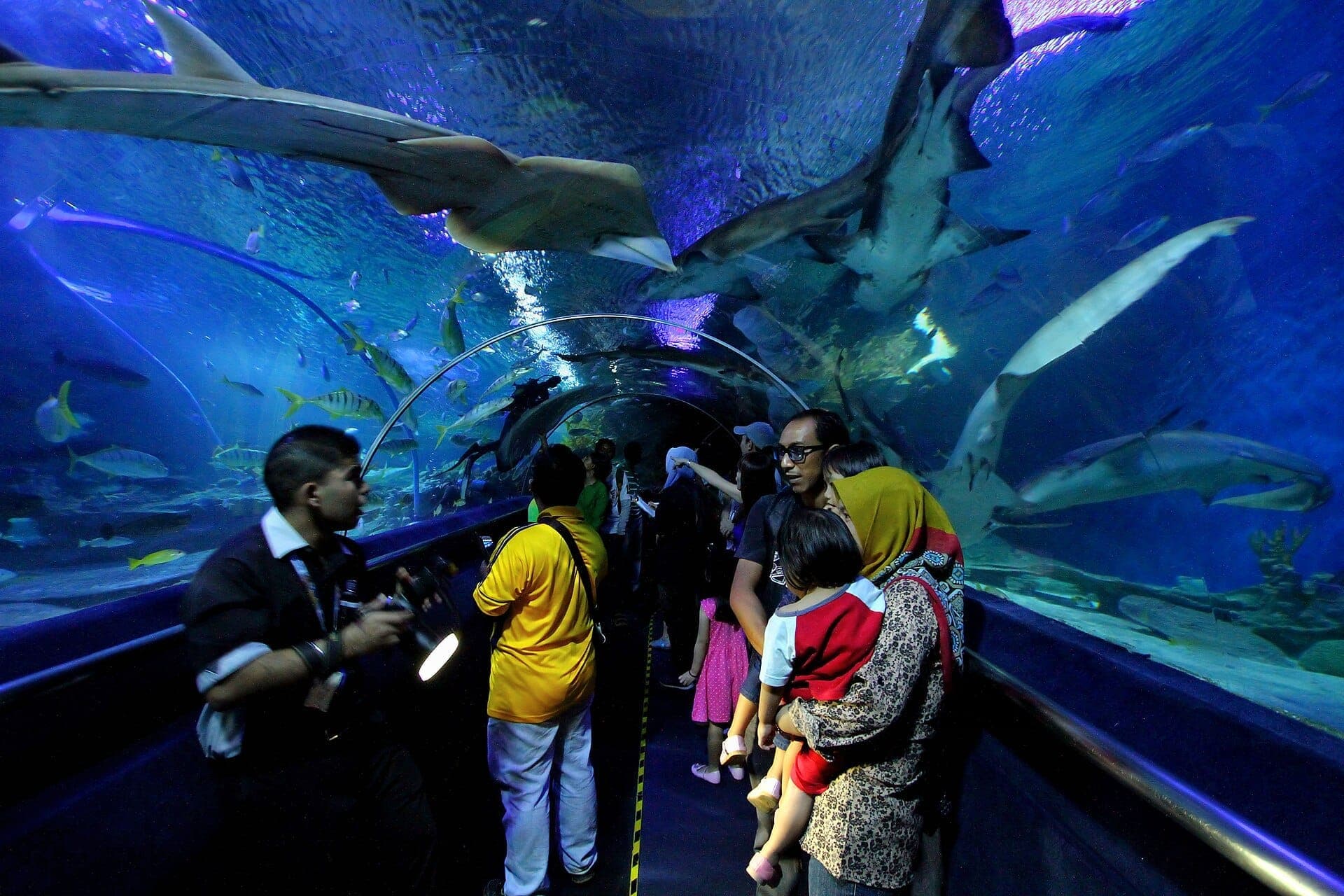 Du khách đi bộ qua đường hầm dưới nước của Aquaria KLCC, bao quanh bởi cá mập, cá đuối và sinh vật biển sống động trong triển lãm thủy cung được chiếu sáng màu xanh lam.