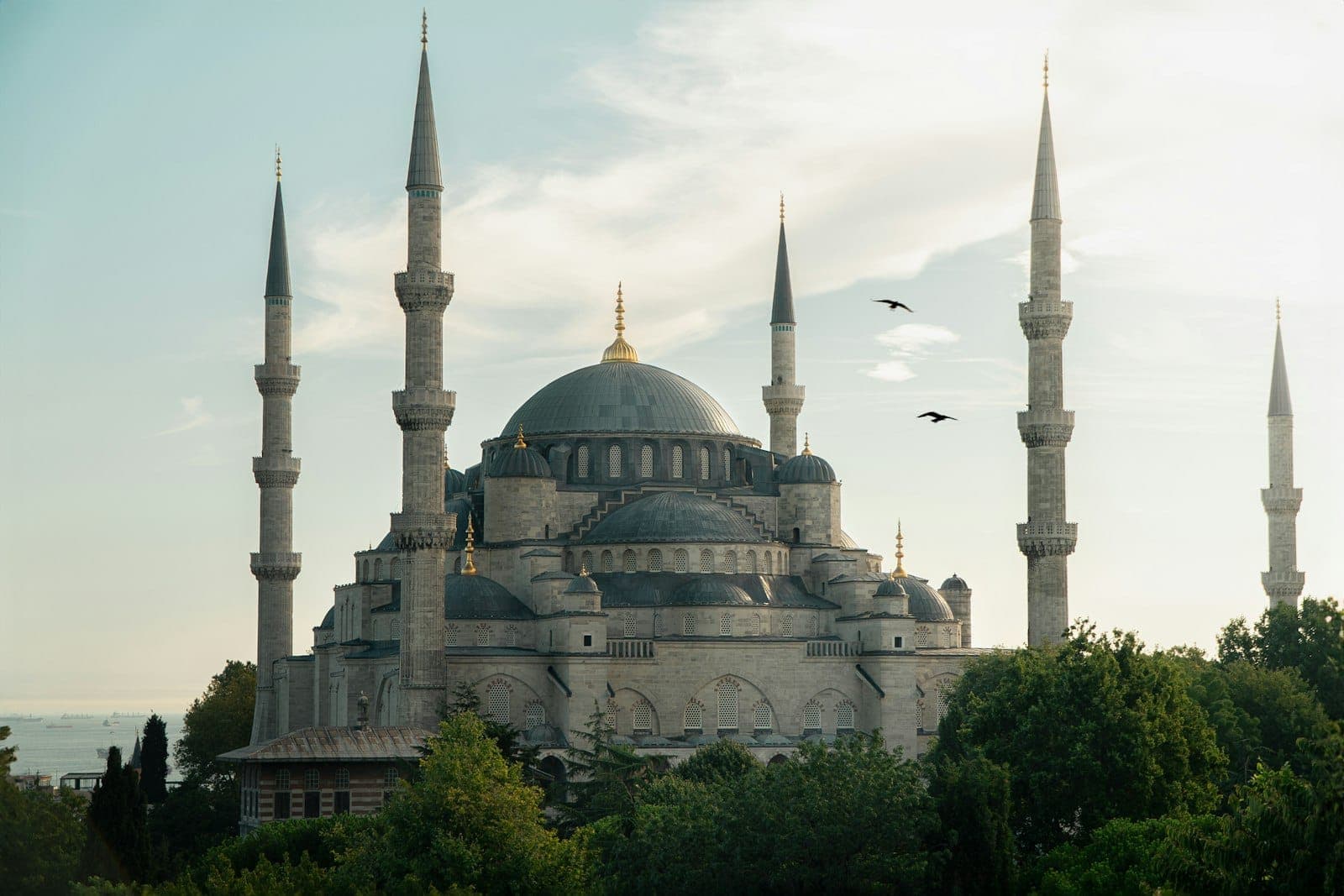 Die beeindruckende Außenansicht der Blauen Moschee in Istanbul in der Abenddämmerung, mit sechs Minaretten, die über grüne Bäume ragen, während Vögel durch einen klaren Himmel fliegen.