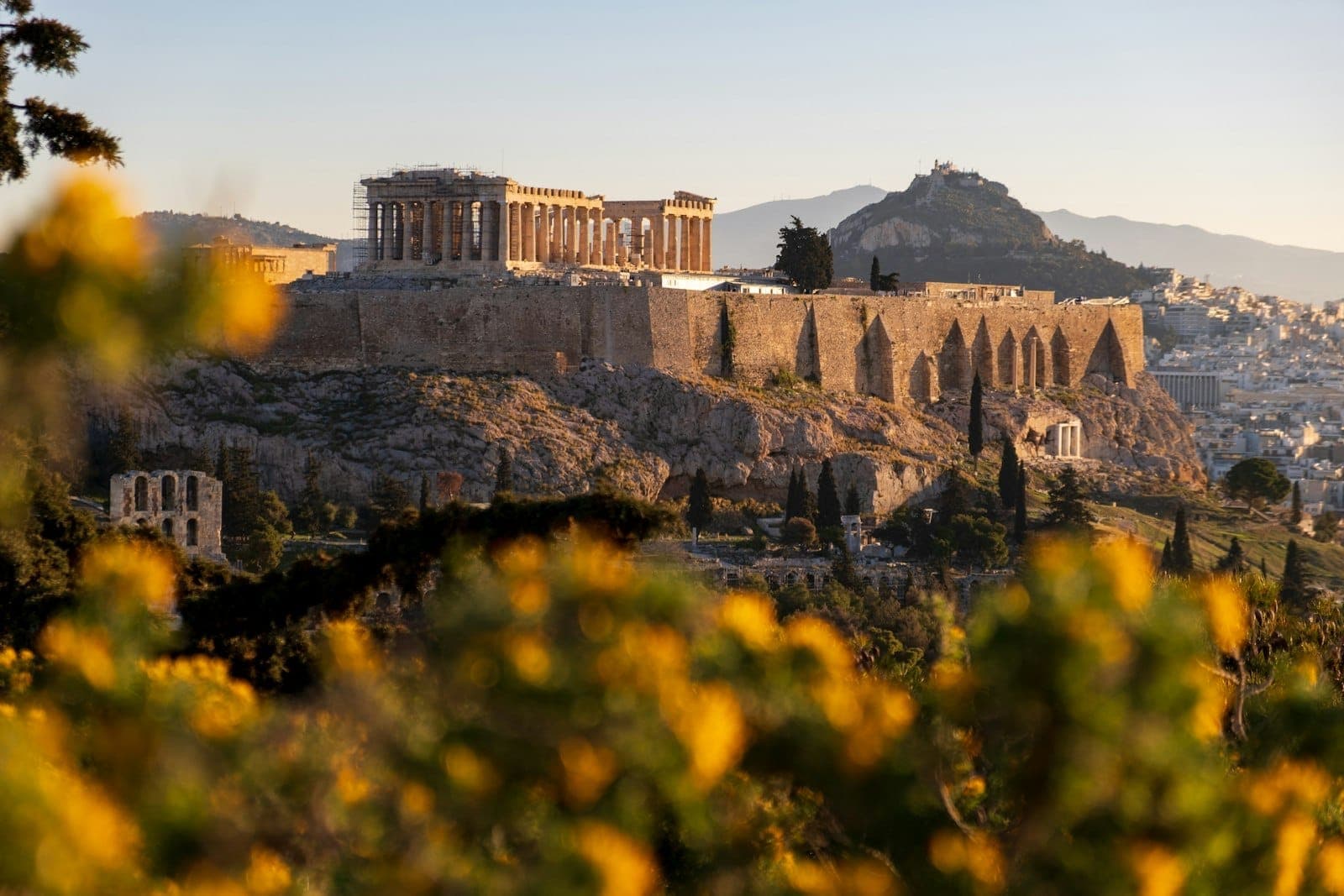 Vista da Acrópole e do Partenon em Atenas emoldurados por flores amarelas, com o monte Licabeto ao fundo num dia ensolarado.