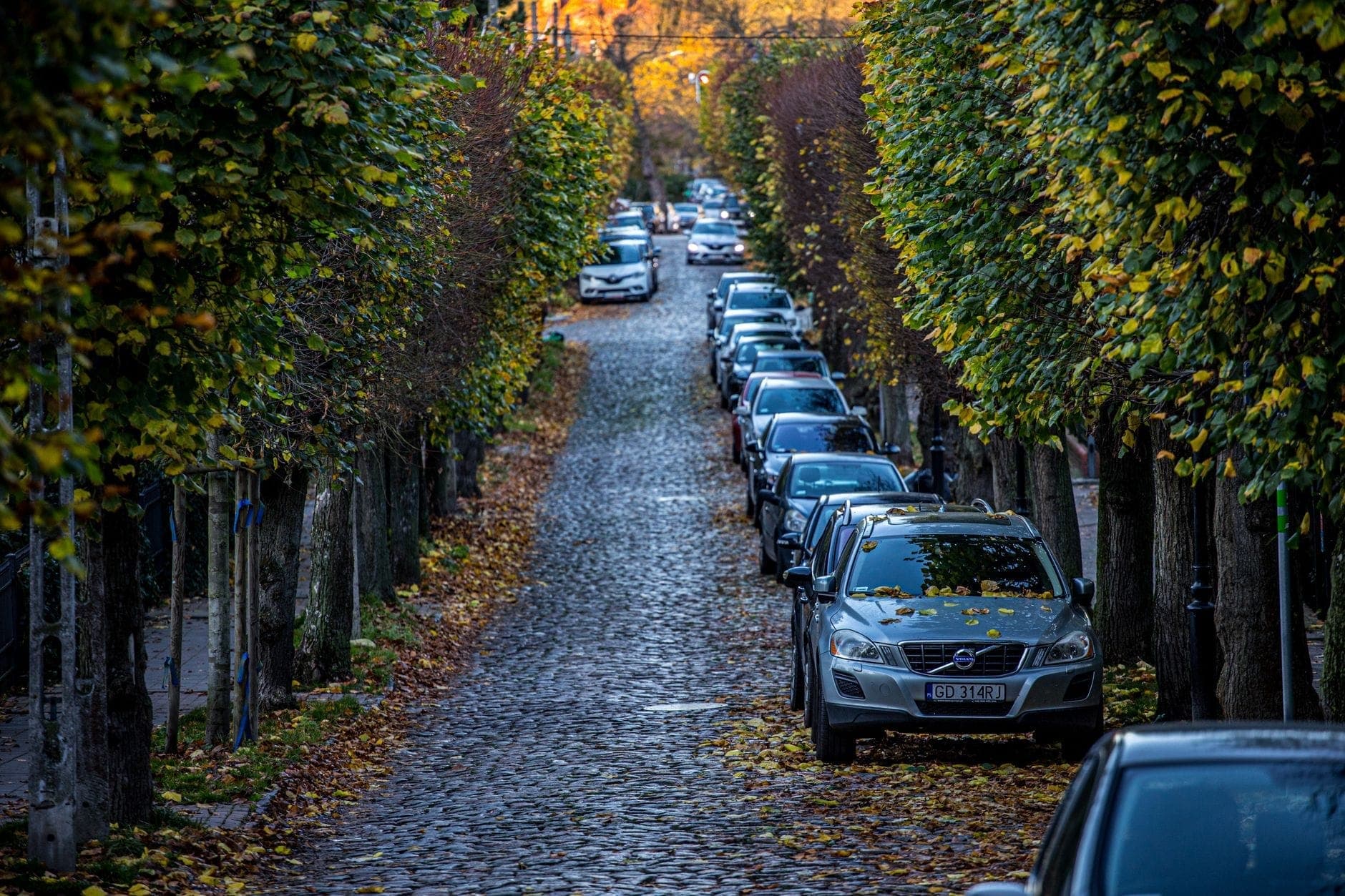 Cobbled street in Copenhagen lined with parked cars and trees turning yellow and orange, showing a quiet autumn atmosphere.
