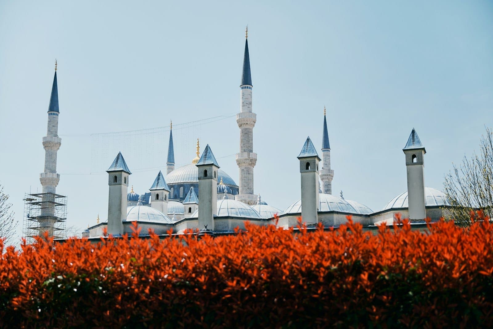 Eine berühmte Moschee in Istanbul mit blauen Kuppeln und hohen Minaretten, eingerahmt von leuchtendem rötlichem Herbstlaub und klarem Himmel.