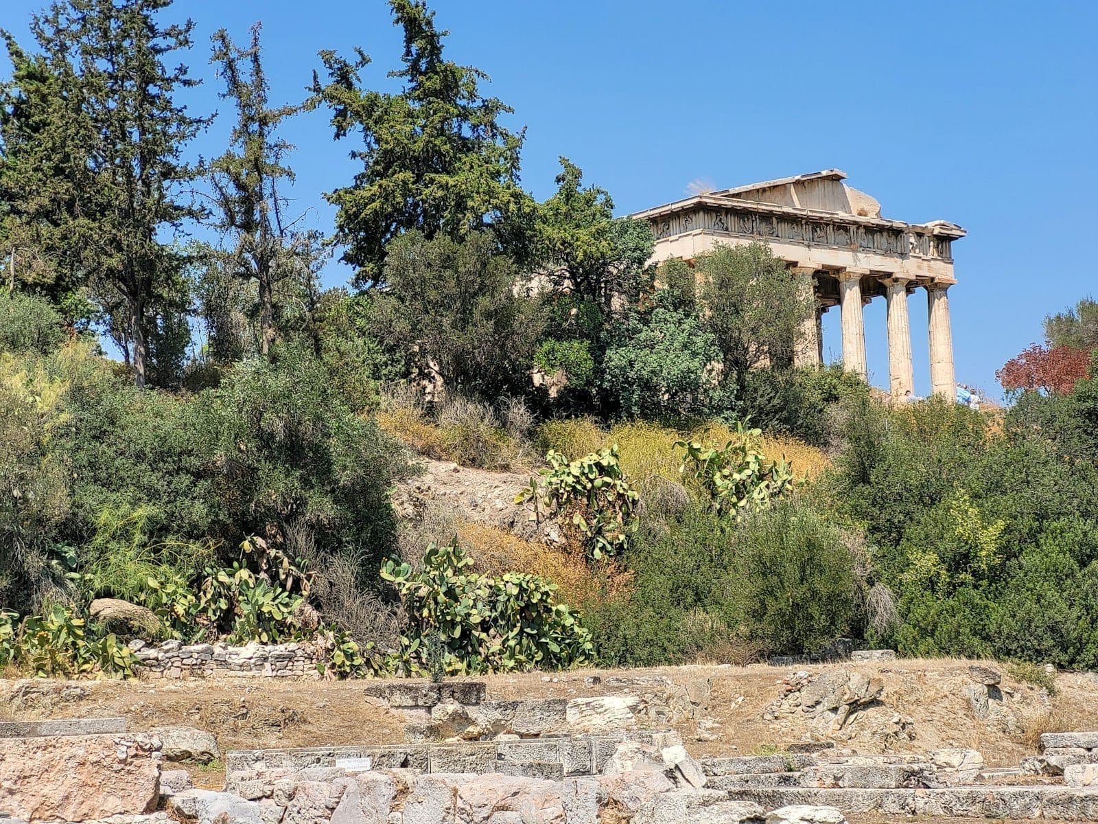 Antico tempio greco su una collina circondato da alberi e arbusti sotto un cielo azzurro limpido ad Atene.