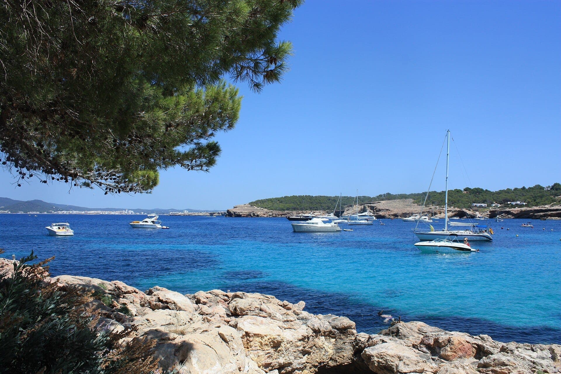 Clear blue water and anchored boats seen from rocky shore and pine trees at Cala Bassa Beach, Ibiza, under bright sunny skies.